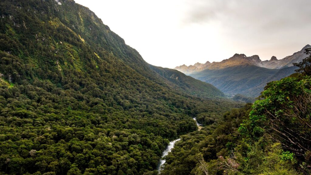 Fiordland National Park