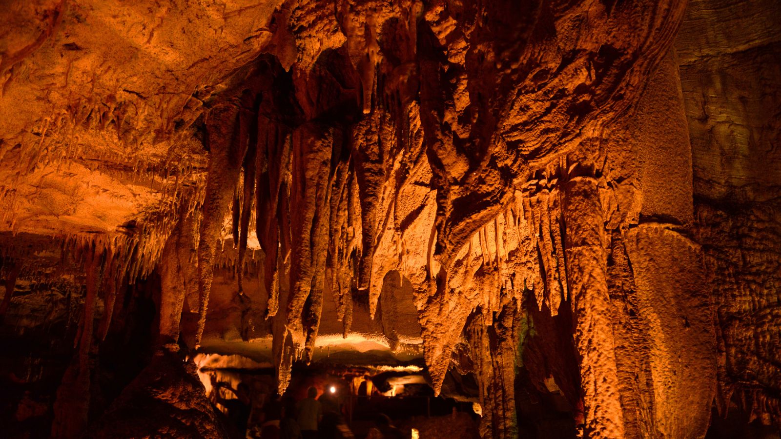 19 Spectacular Caves You Must Explore at Least Once - The Modern Day