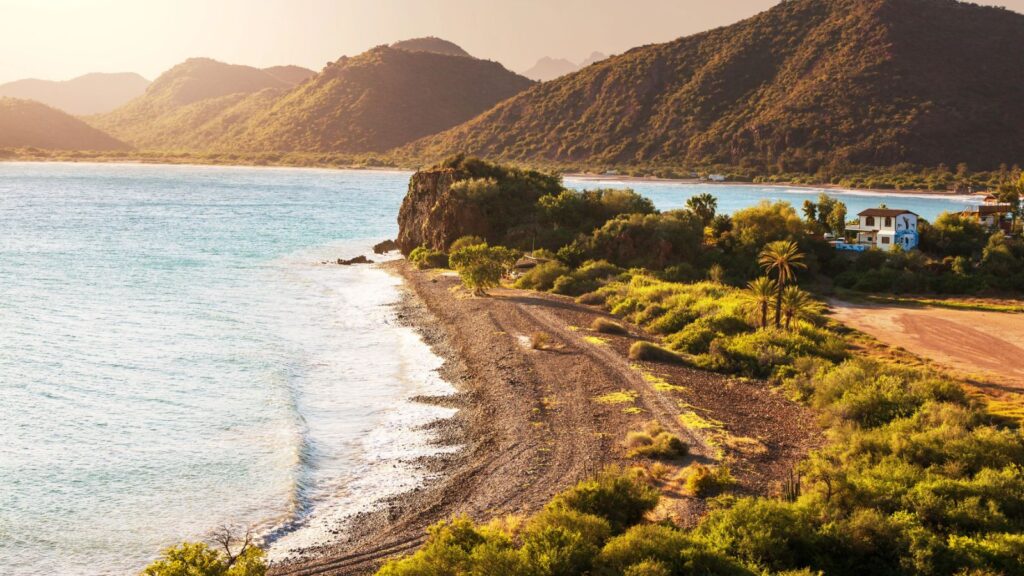 Patagonia