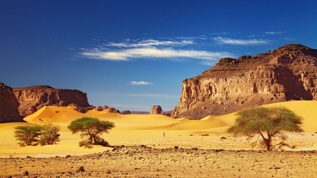 Dunes of Glamis