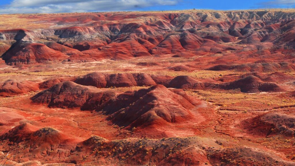 Painted Desert
