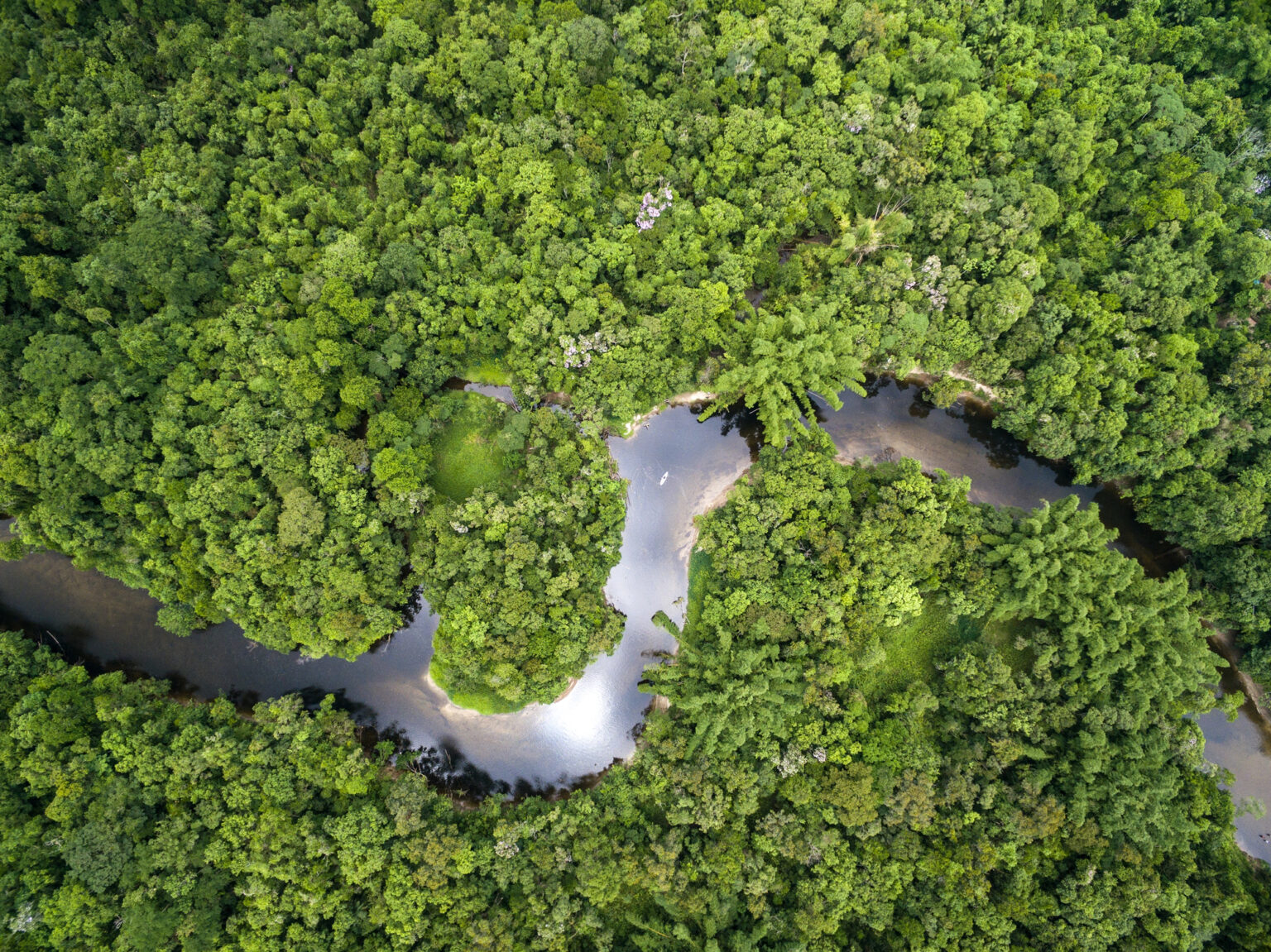 Discover the Wild Side of South America with These 17 Must-Visit ...
