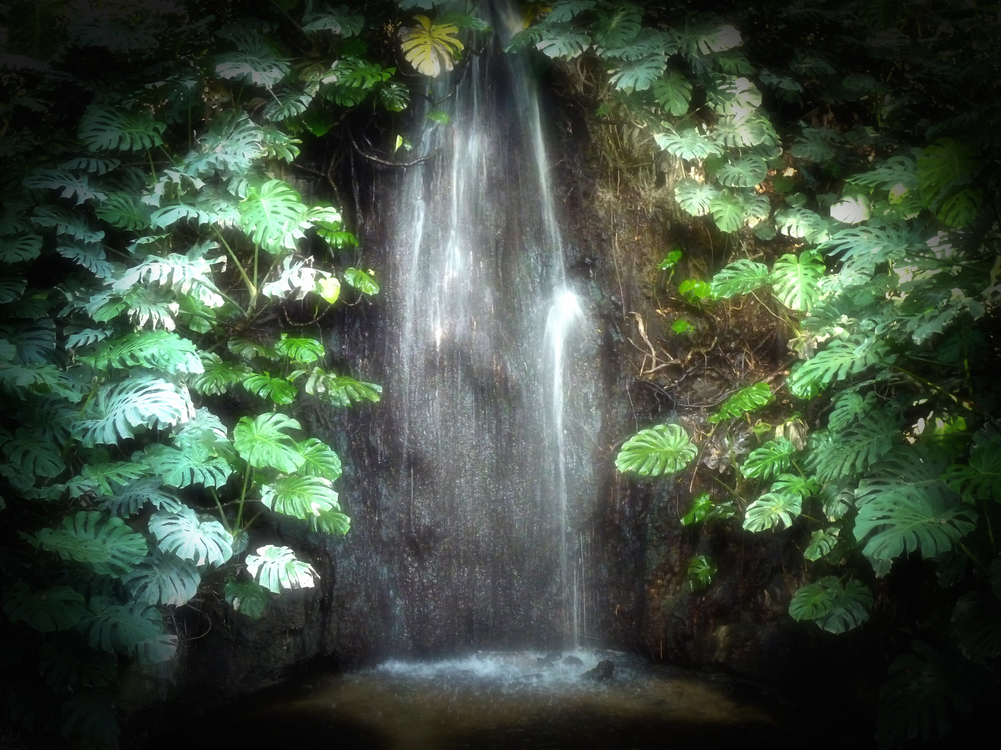 14987980233 f75ff551f2 k