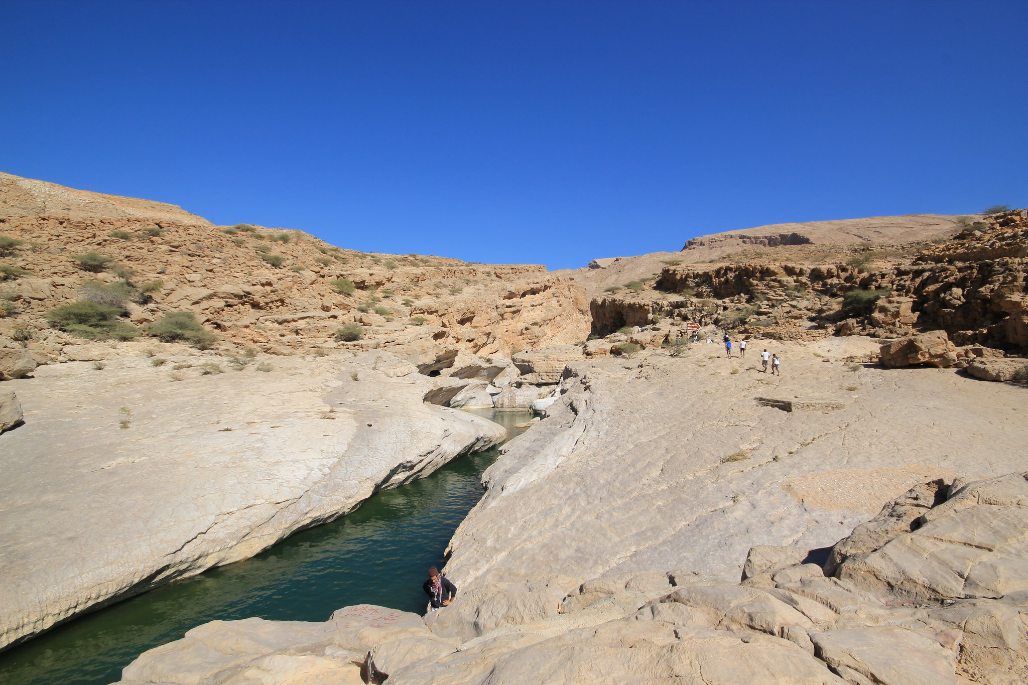 20367926032 950be7d746 k