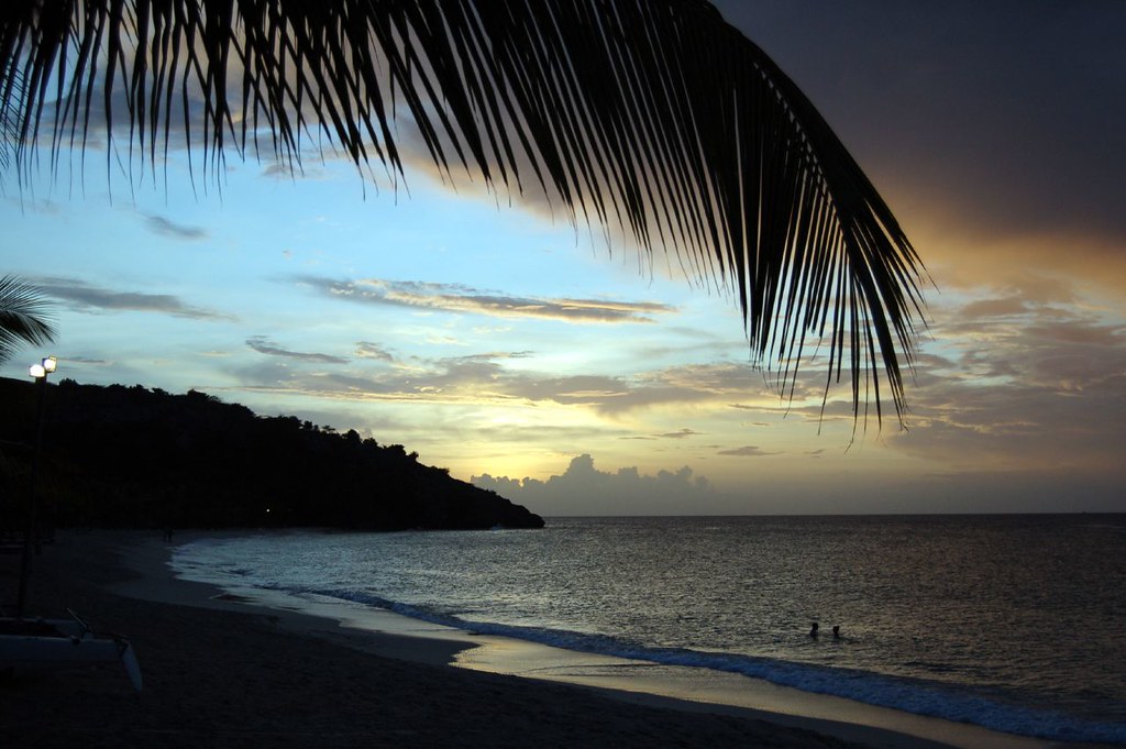 2844018706 da7ed6e89d b