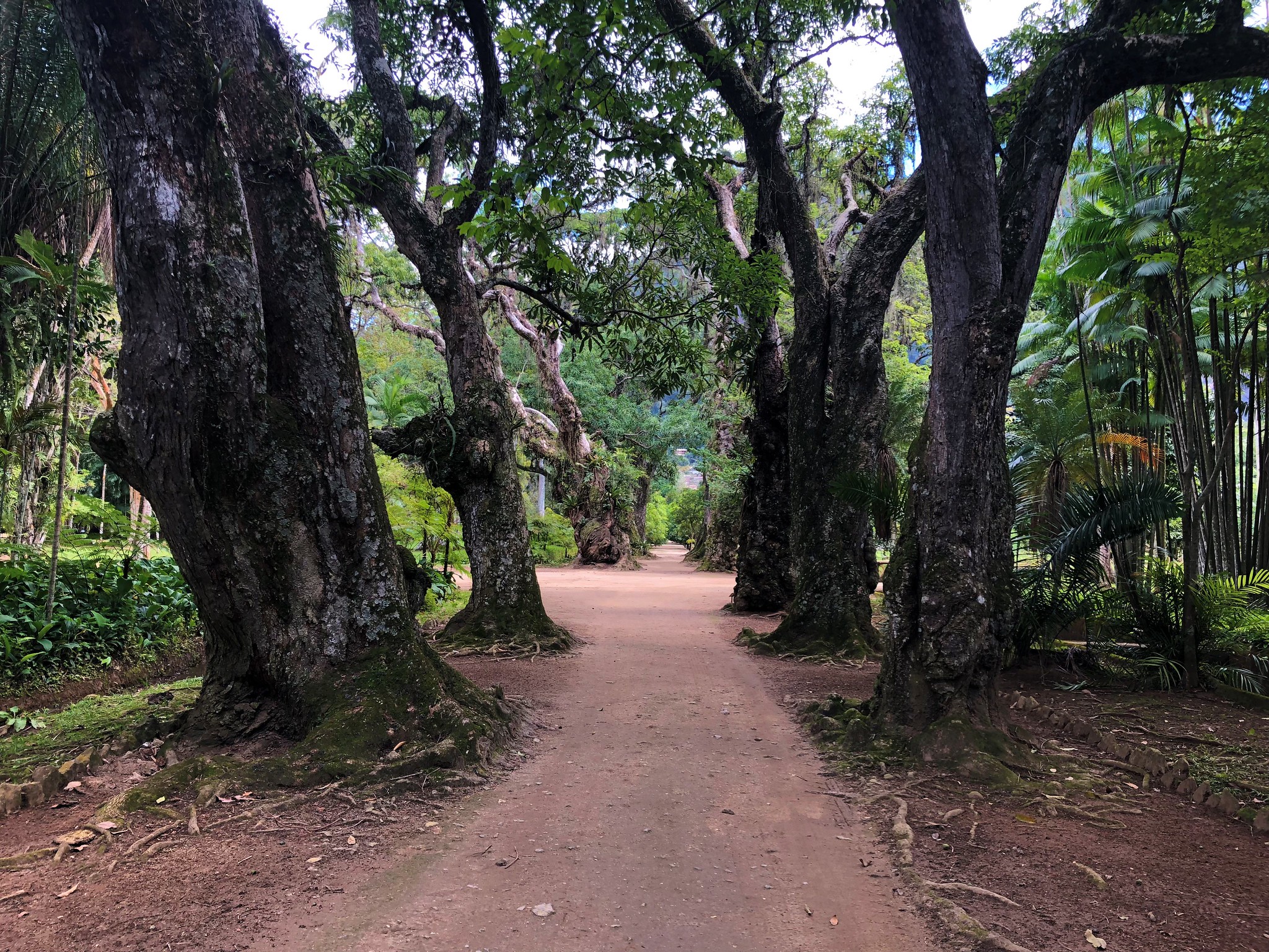 31038844718 2d5359abe1 k