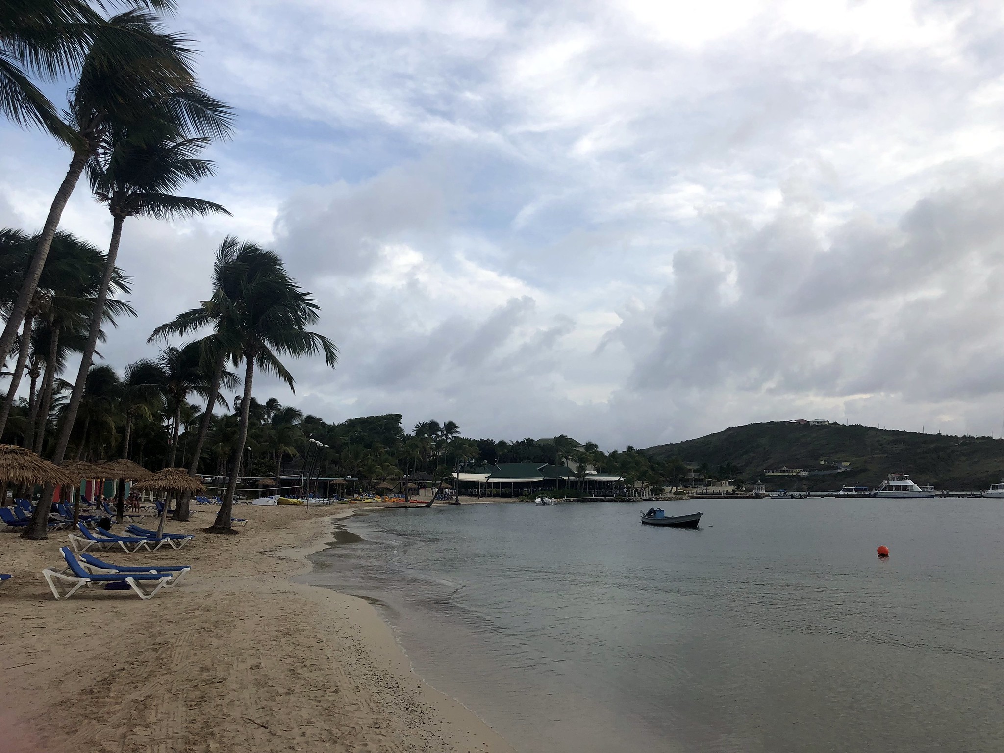 33681223568 cf4419b9e4 k