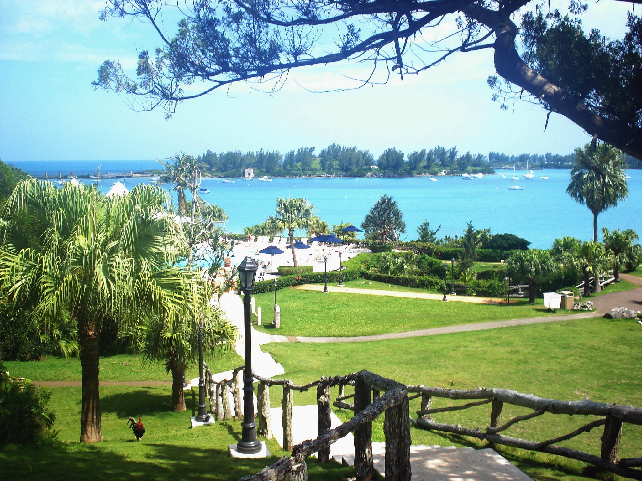Your Ultimate Guide to the 18 Best Hotels and Resorts in Bermuda 4 3701447089 2464a8e048 k
