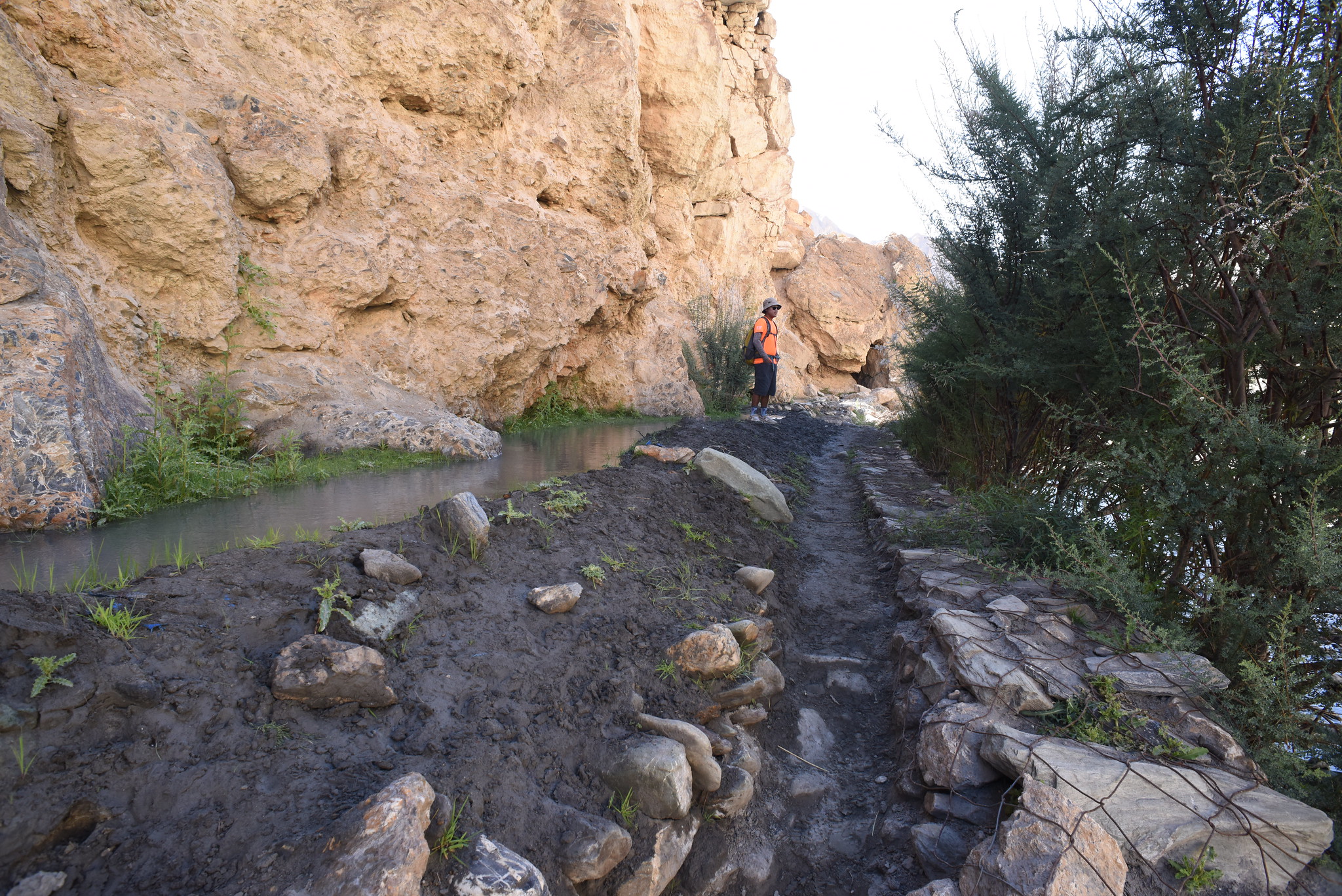 48994226567 1b774d4015 k