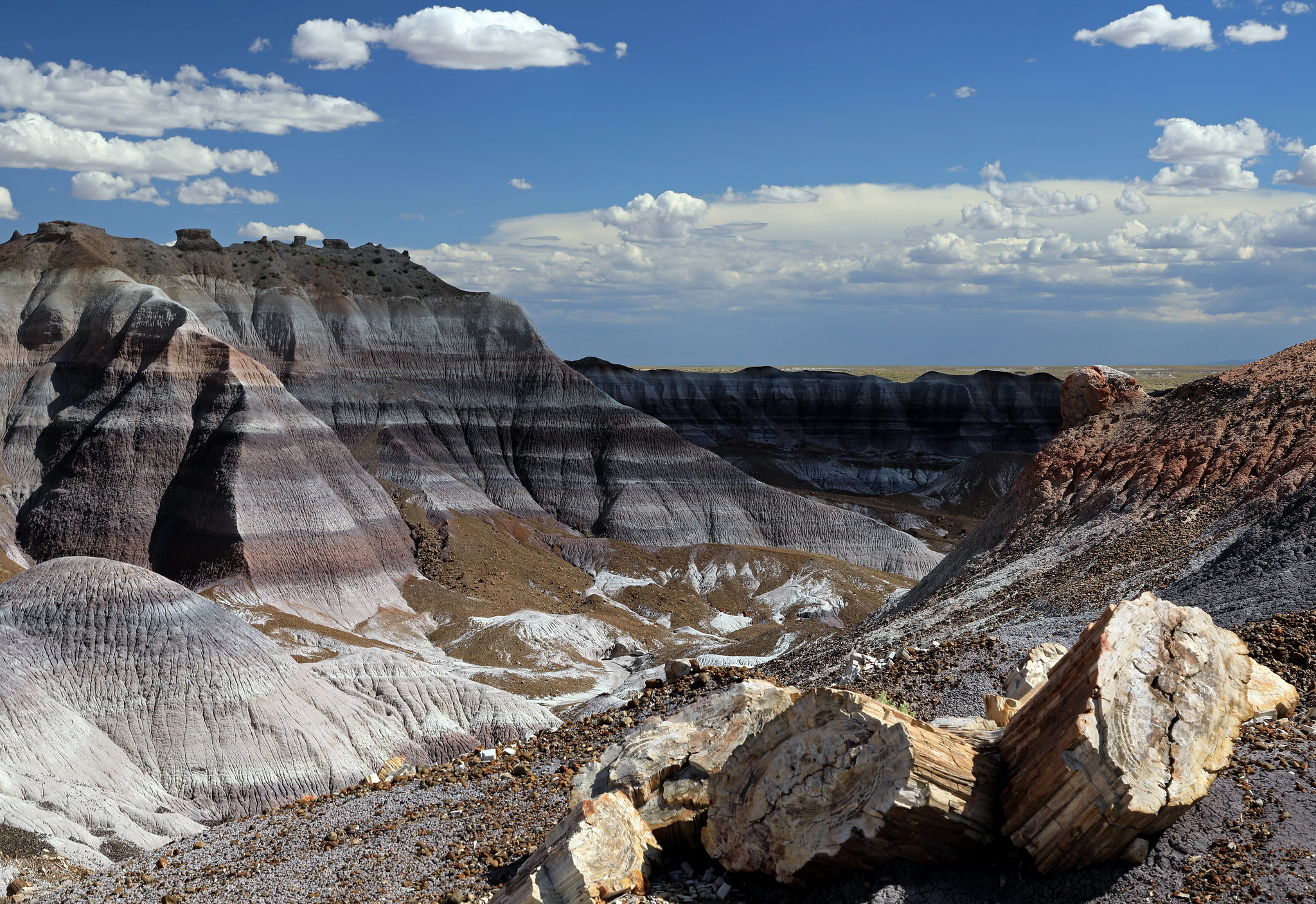 18 Incredible U.S. National Parks You Can Enjoy Without Spending a Fortune 5 50997684138 54bc3fd8f7 k