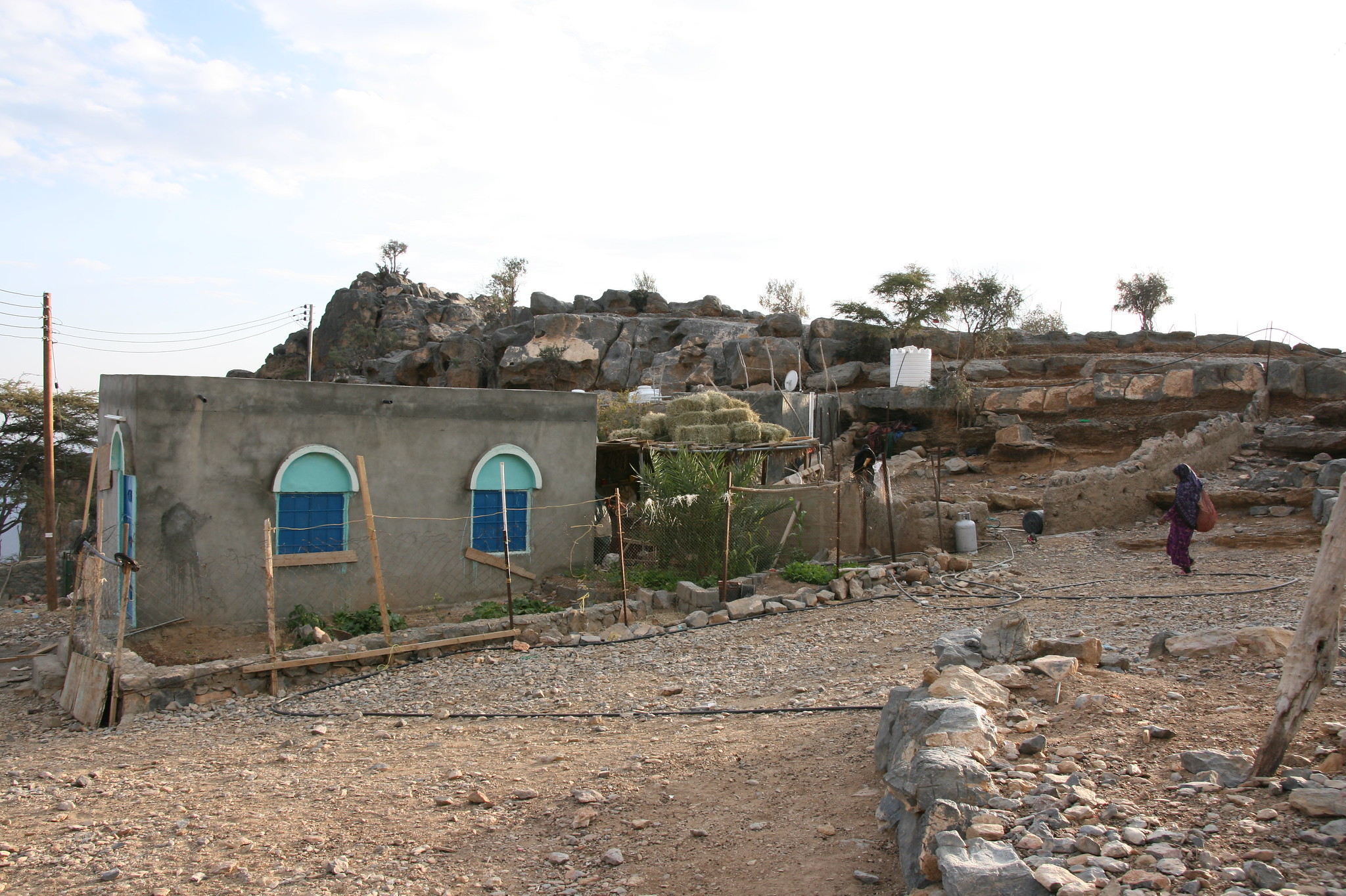 5206588075 e348d468cf k