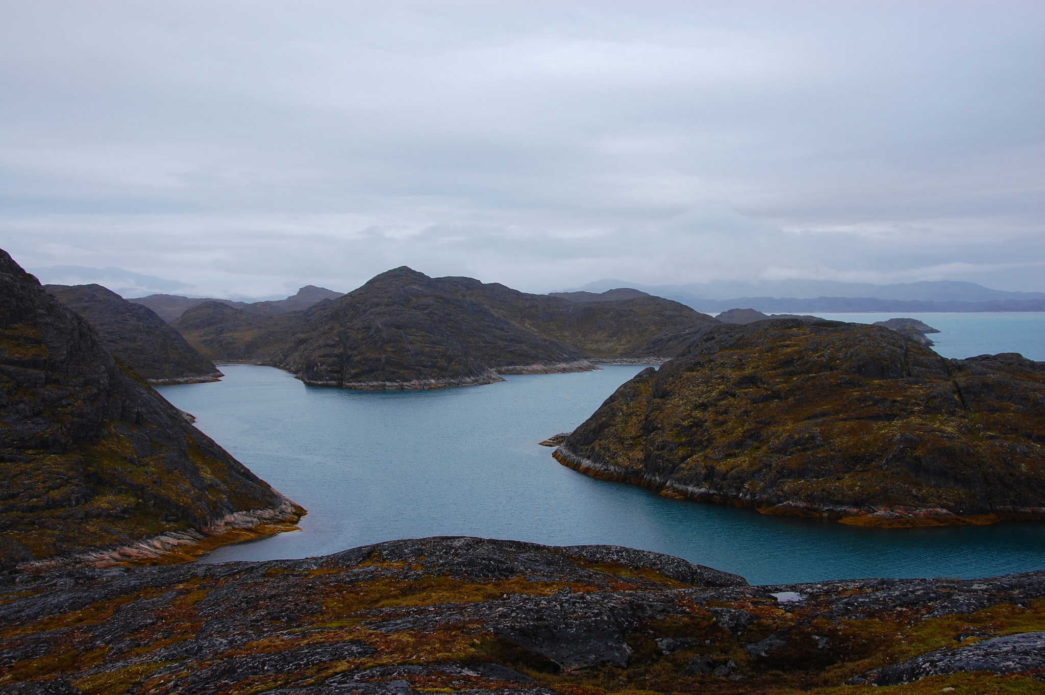 9105268645 ed5507b2b2 k