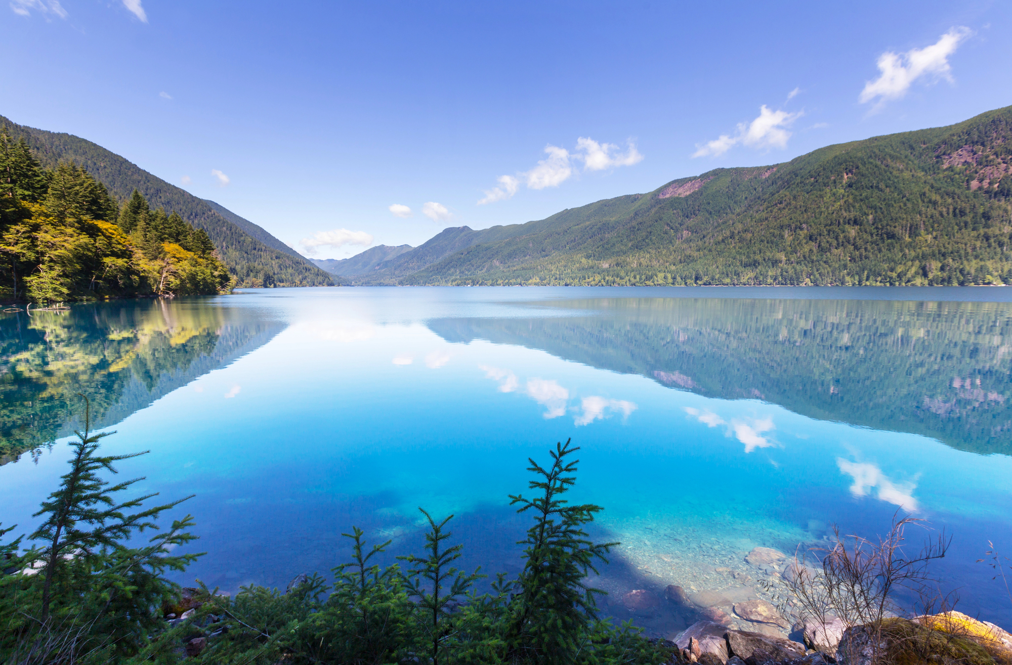 Experience Nature's Beauty at These 16 State Parks That Beat Zion 13 Depositphotos 120845398 L