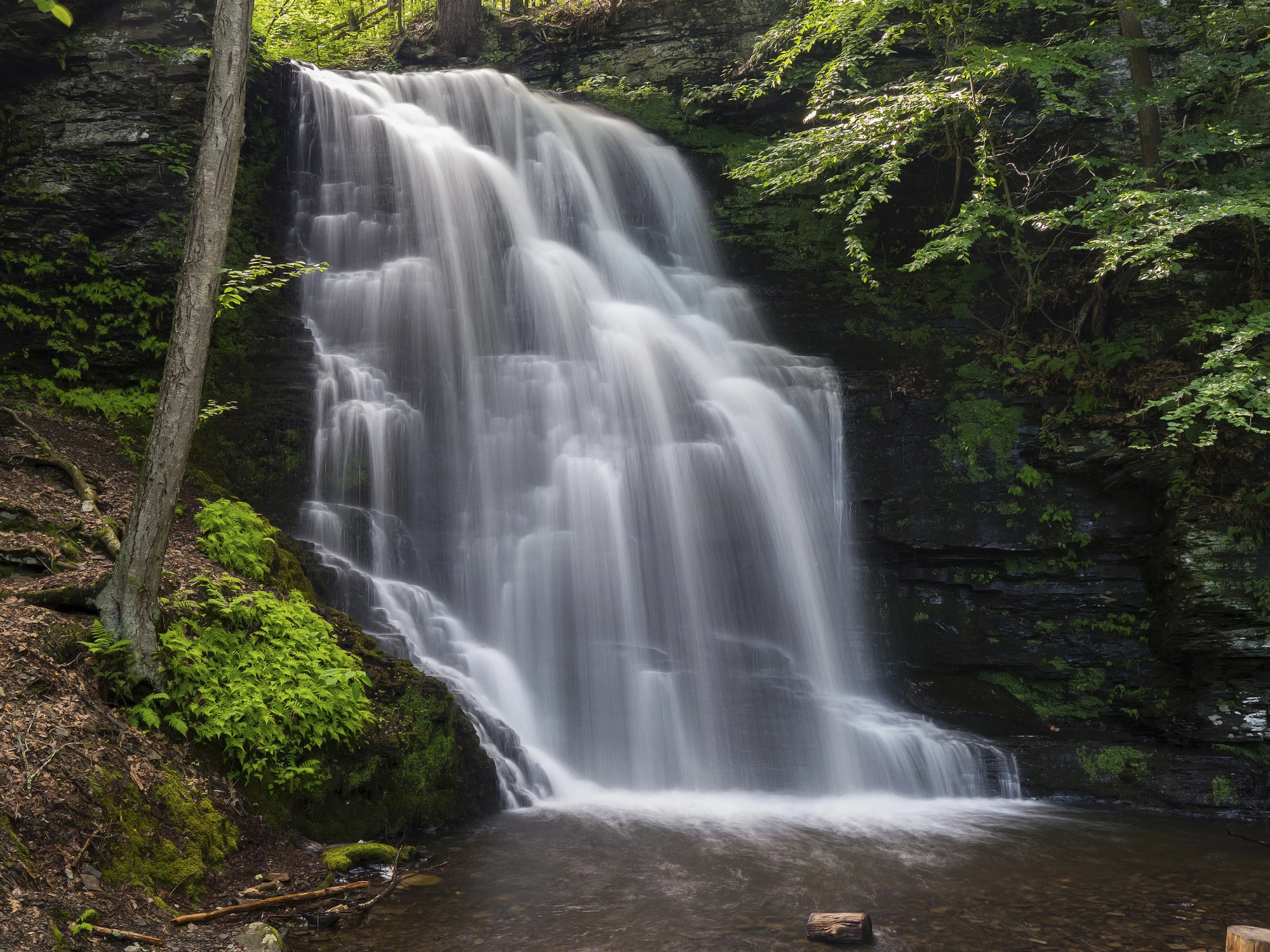 Depositphotos 174288834 L