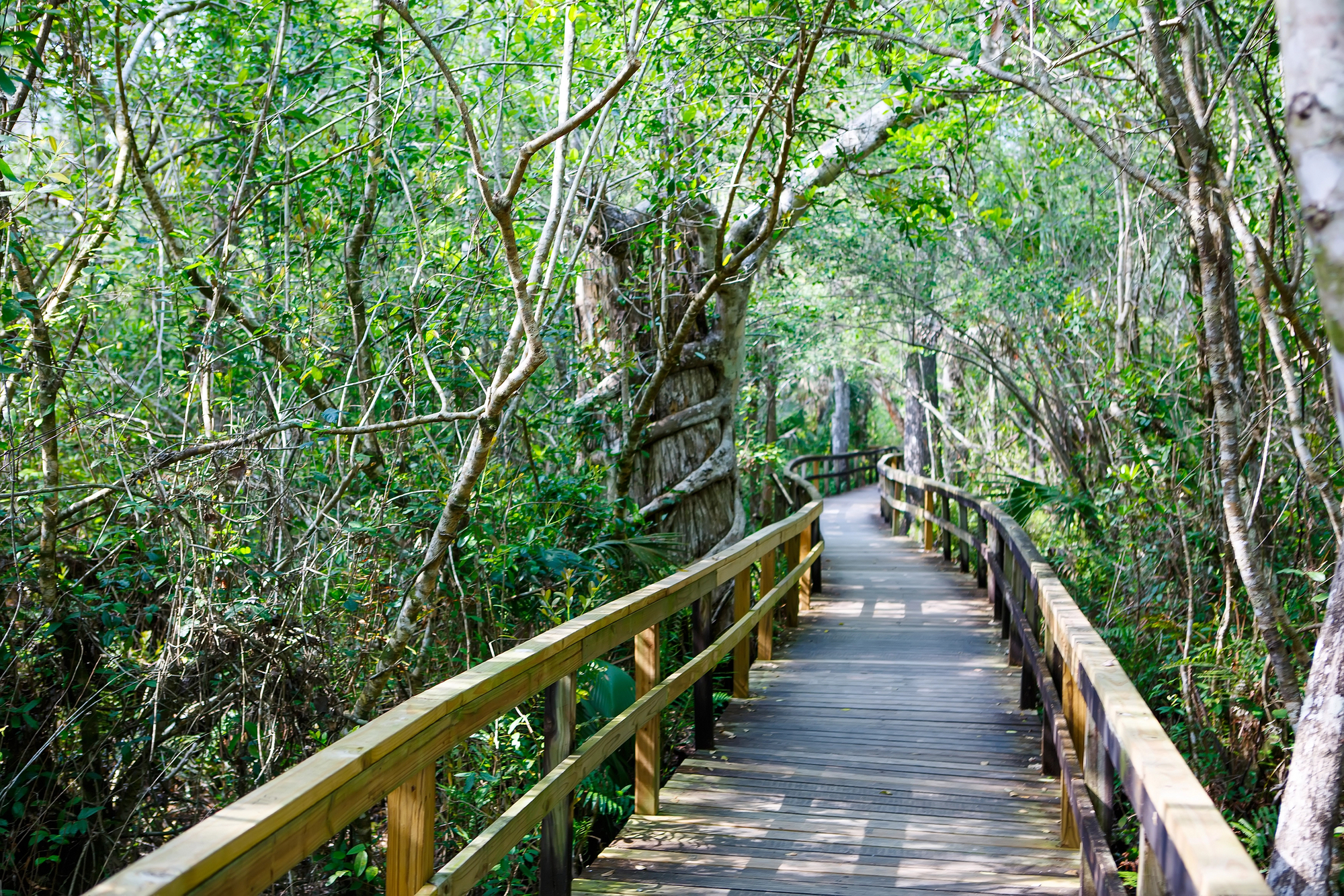 25 Coastal Trails That Will Take Your Breath Away 19 Depositphotos 200859044 L