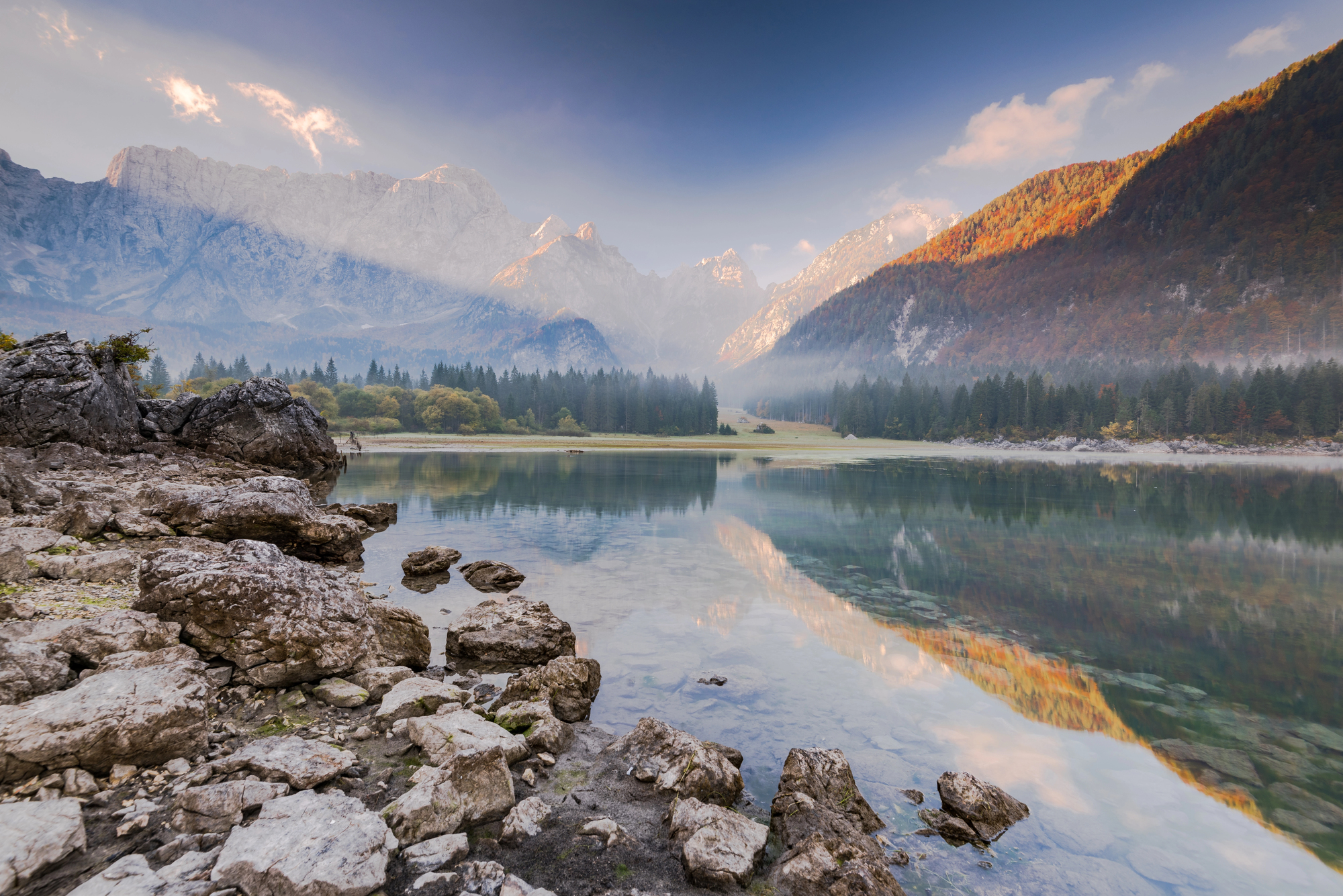 Depositphotos 236303522 L