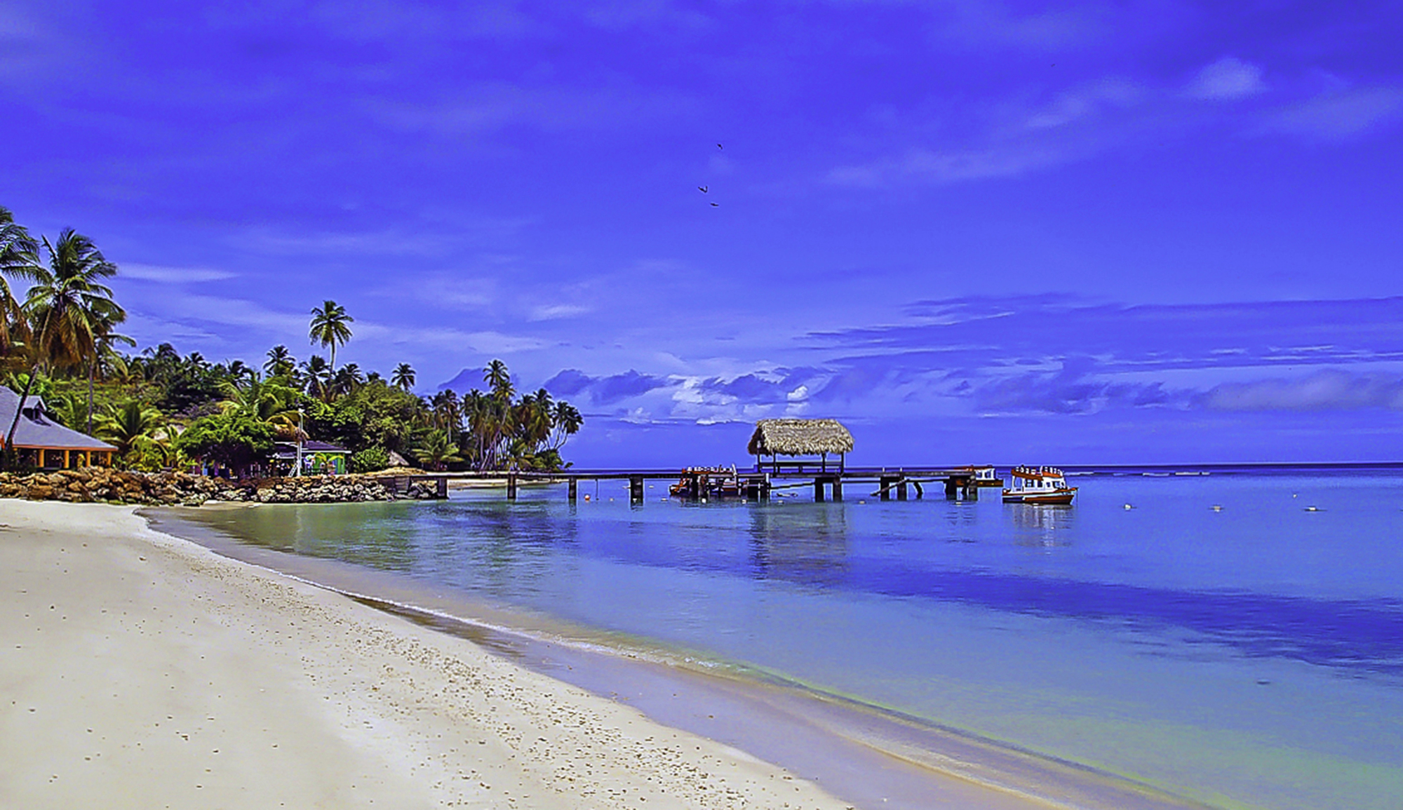 Depositphotos 23976371 L