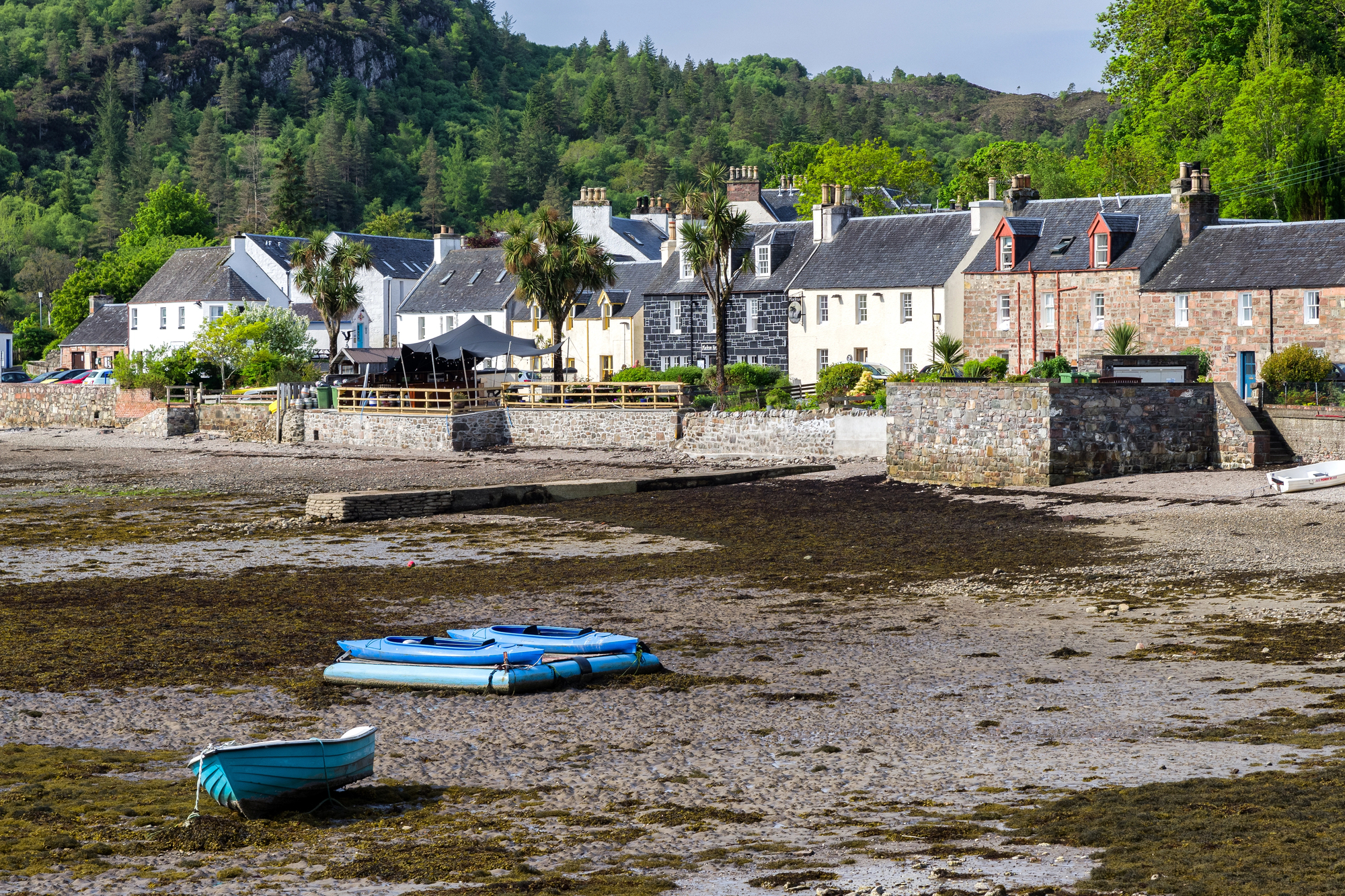Depositphotos 247729846 L