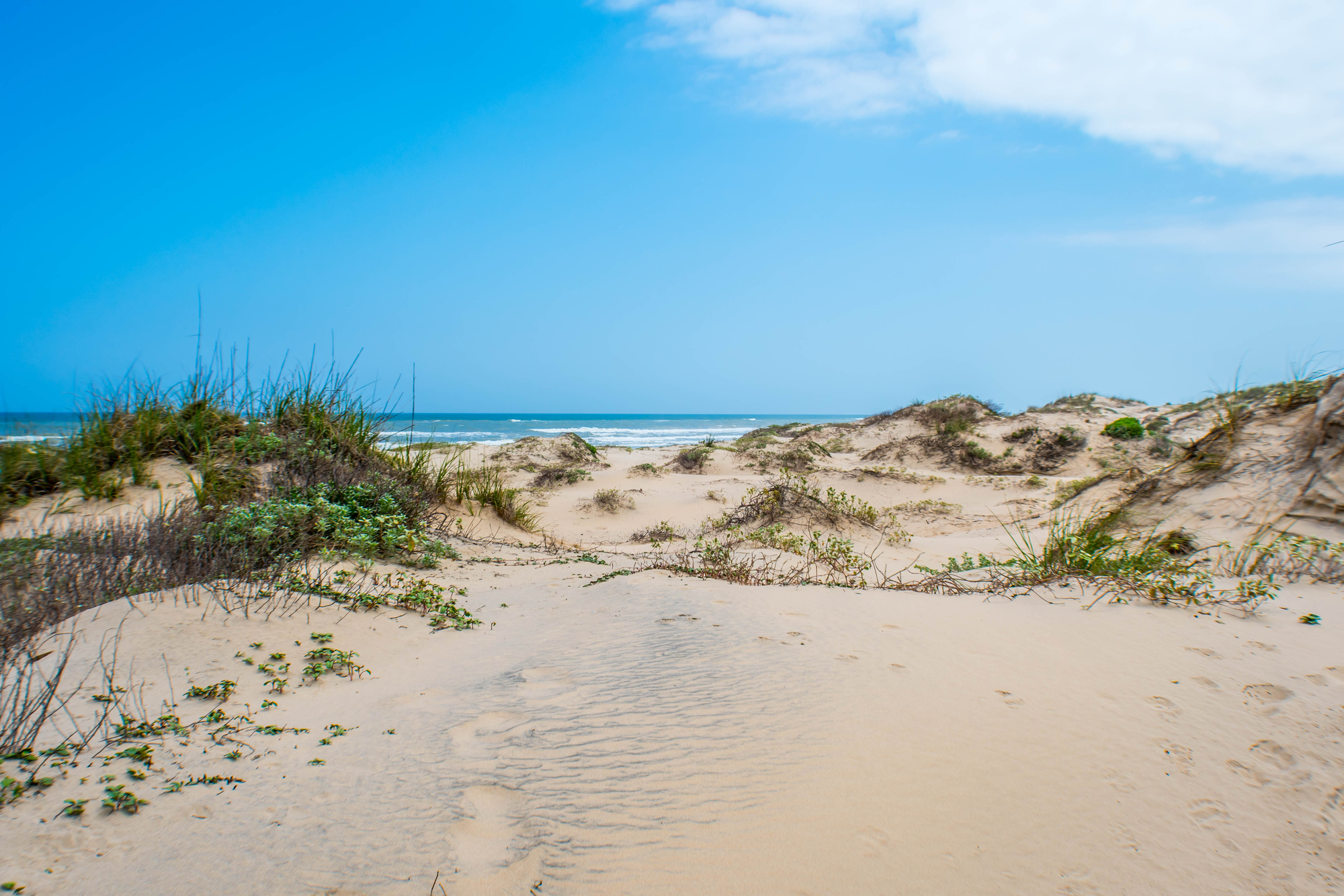 Depositphotos 314070820 L