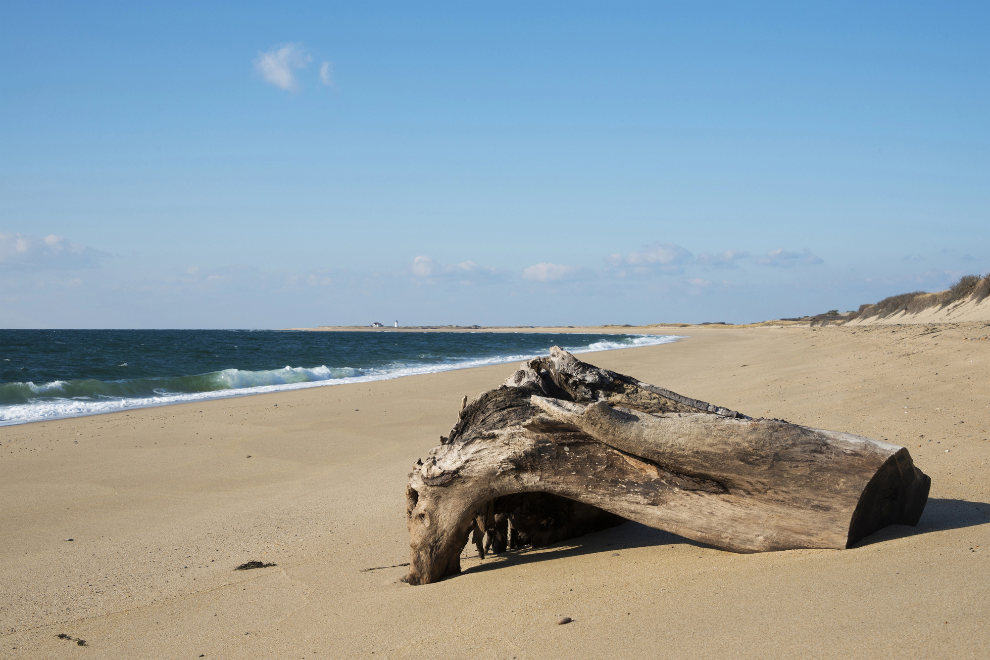 Depositphotos 31445415 L