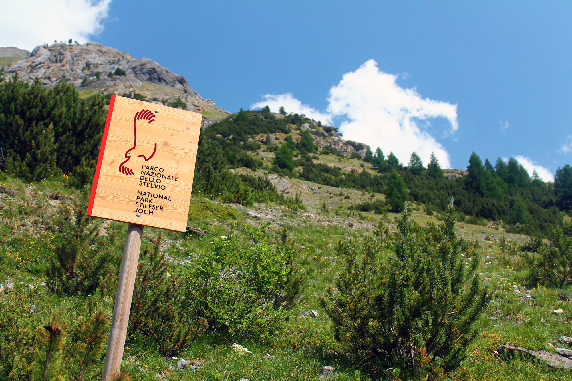 16 Magical Alpine Destinations in Italy for Your Dream Vacation 11 Depositphotos 316543918 L