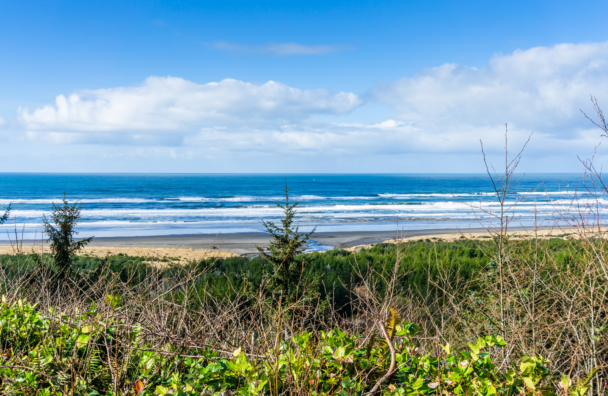 Depositphotos 354501208 L