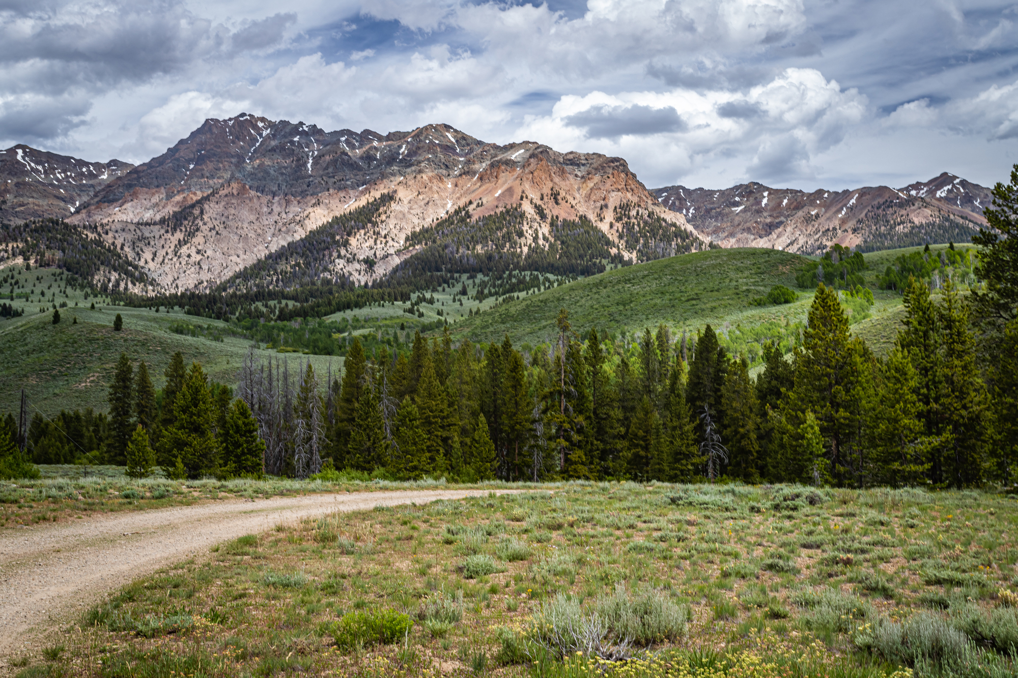 Depositphotos 363170602 L 3