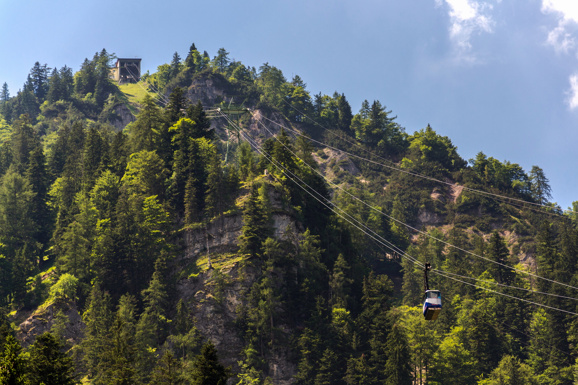 Depositphotos 365847932 L 1