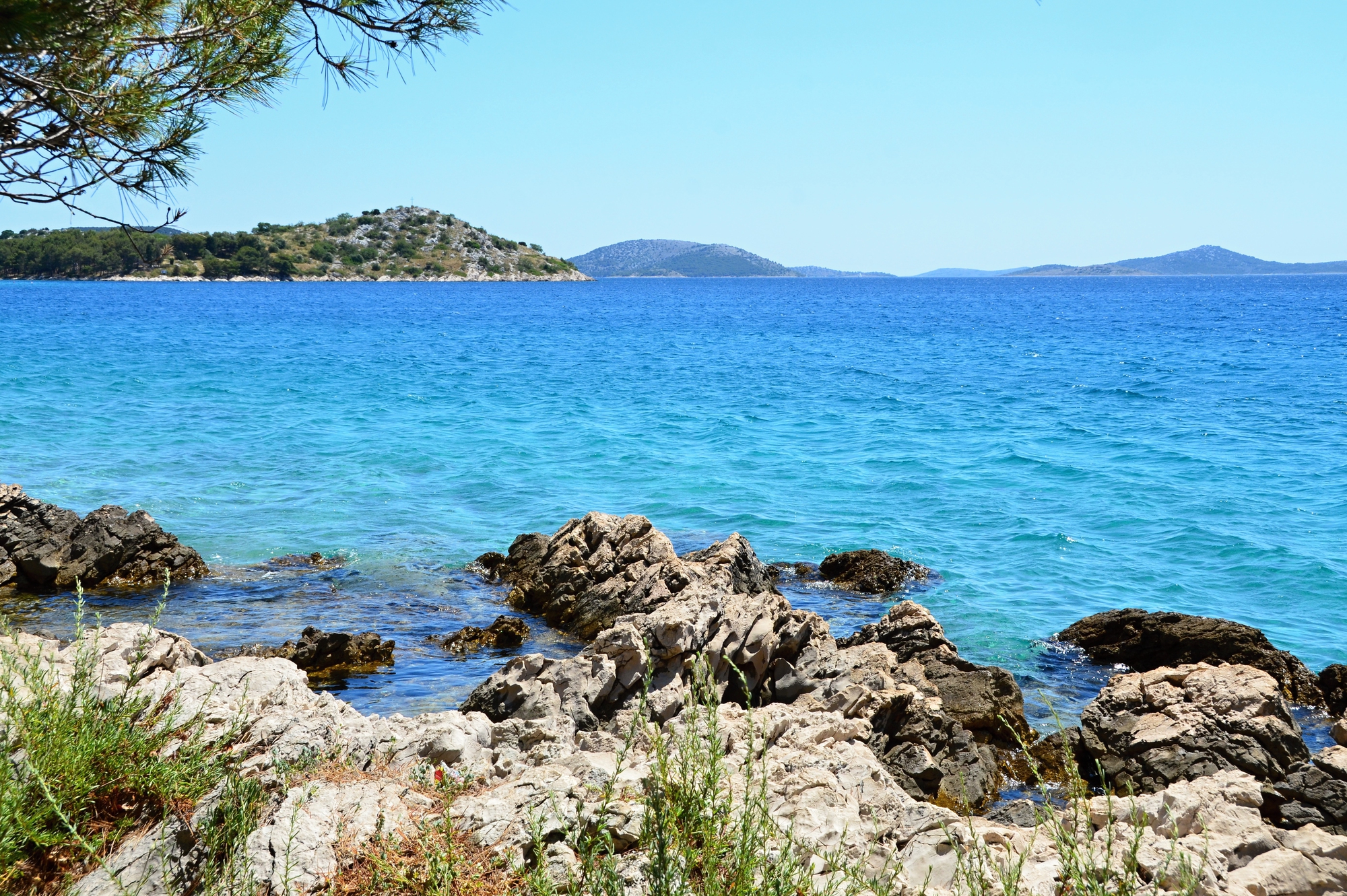 Depositphotos 438605472 L