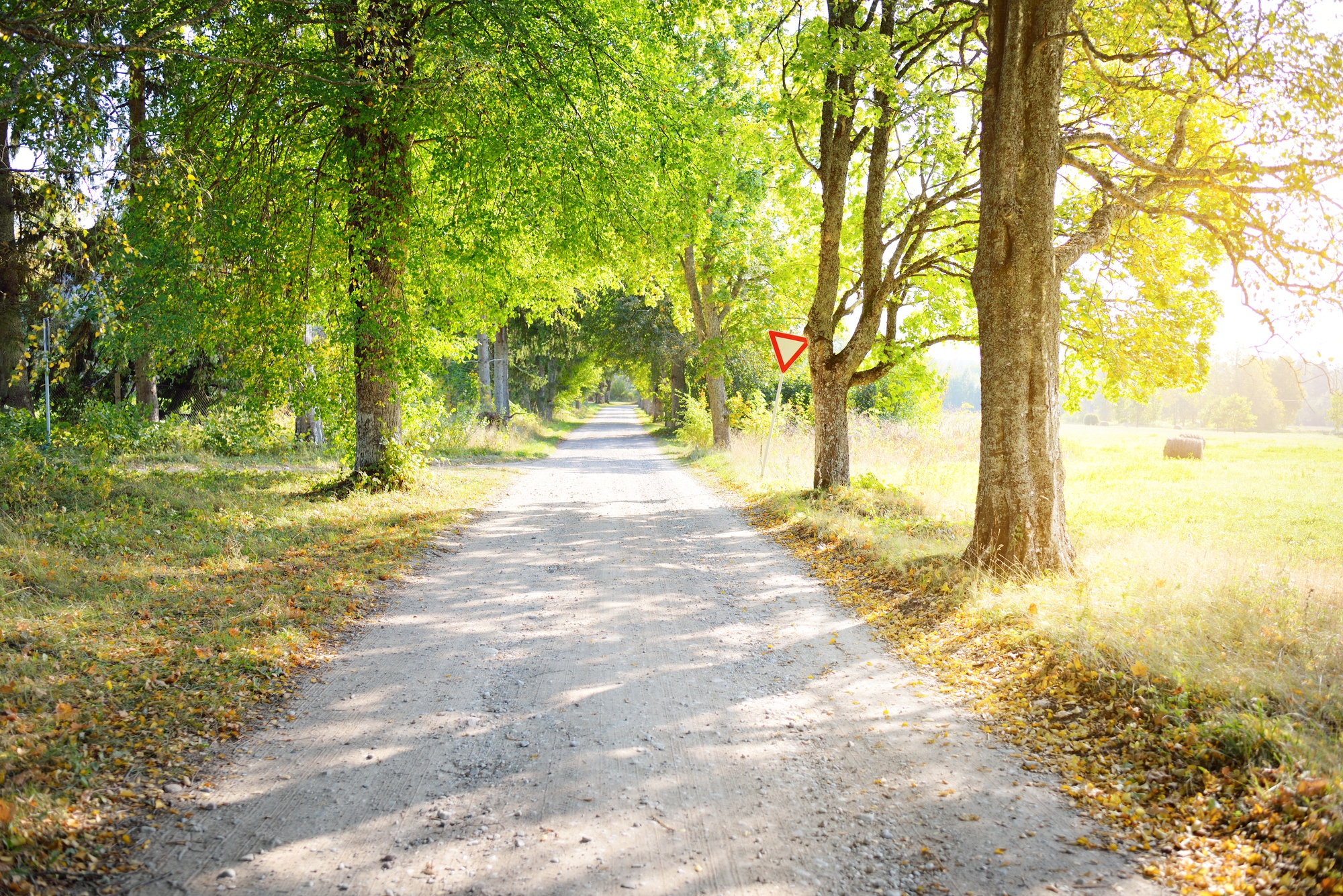 Depositphotos 445579314 L