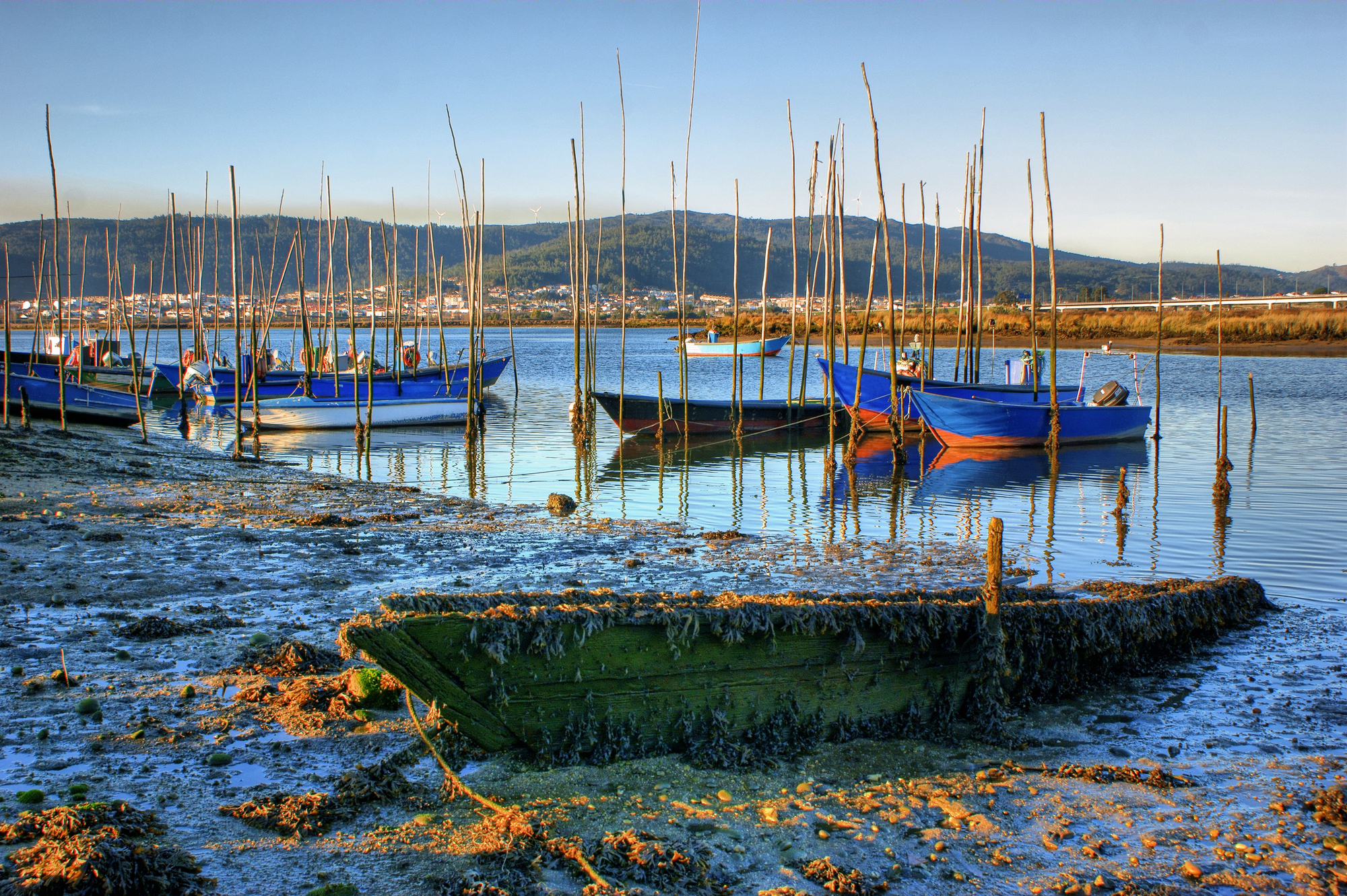 Depositphotos 51215131 L