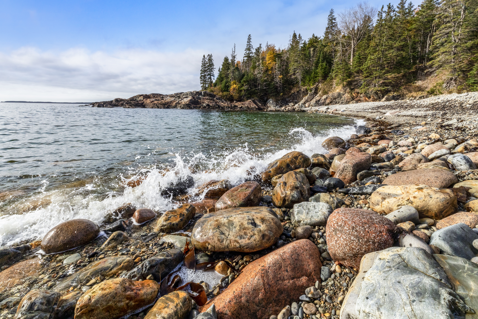 Depositphotos 546570182 L 1