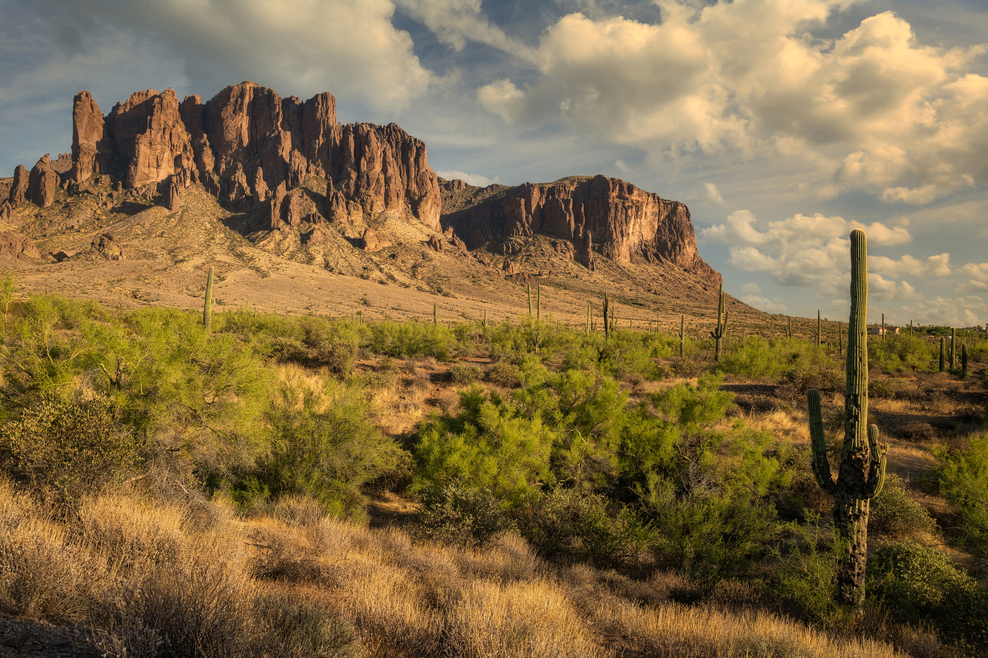 Depositphotos 753439066 L