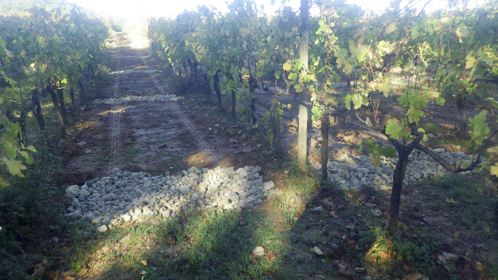 Depositphotos 753952150 L