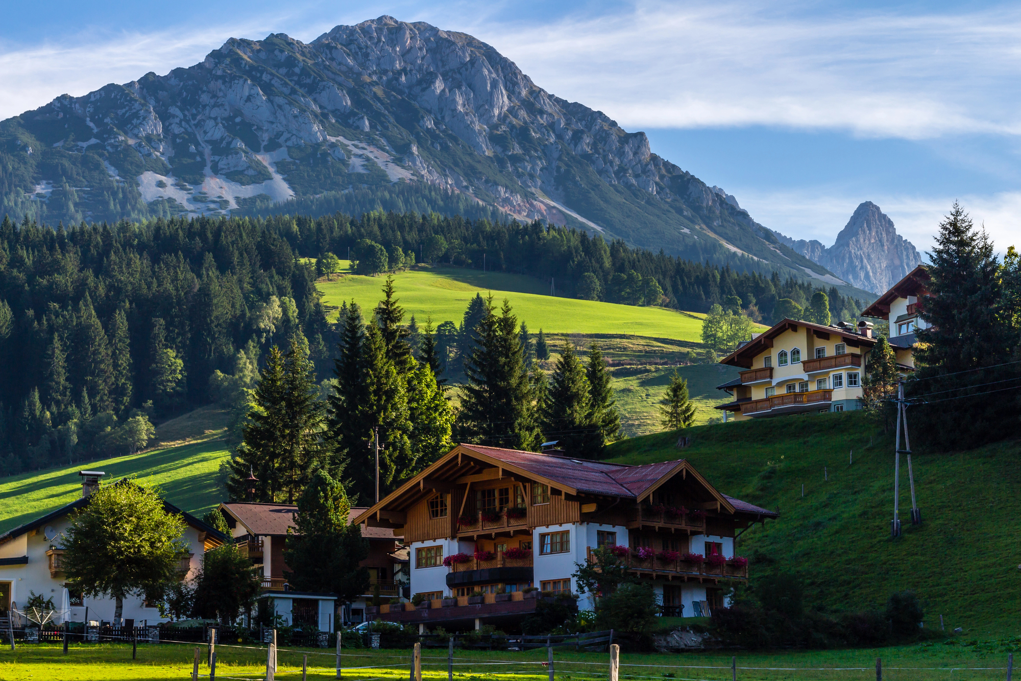 Depositphotos 95663262 L