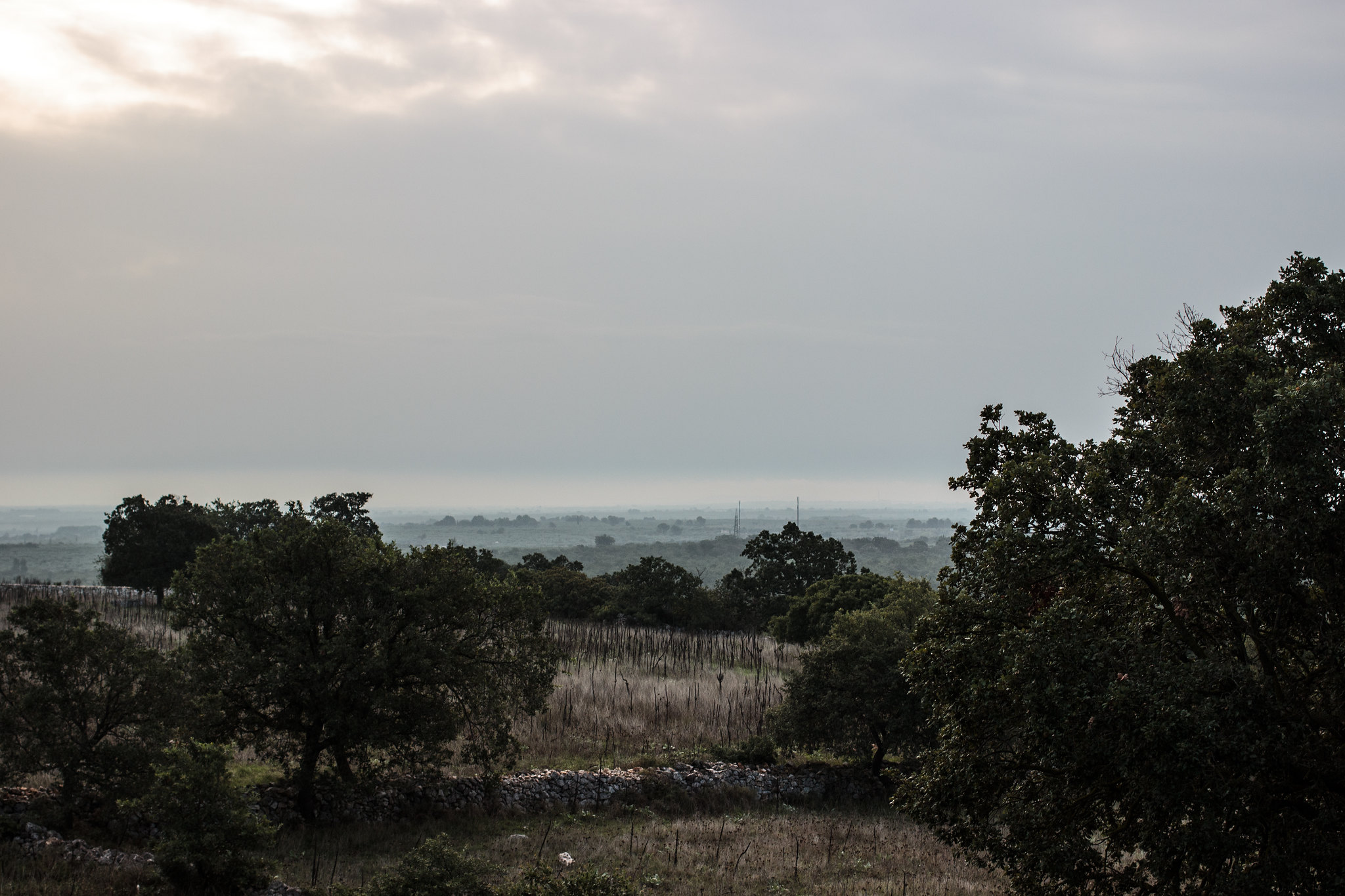 Francesco Schiavone 31373396151 5bc3058642 k