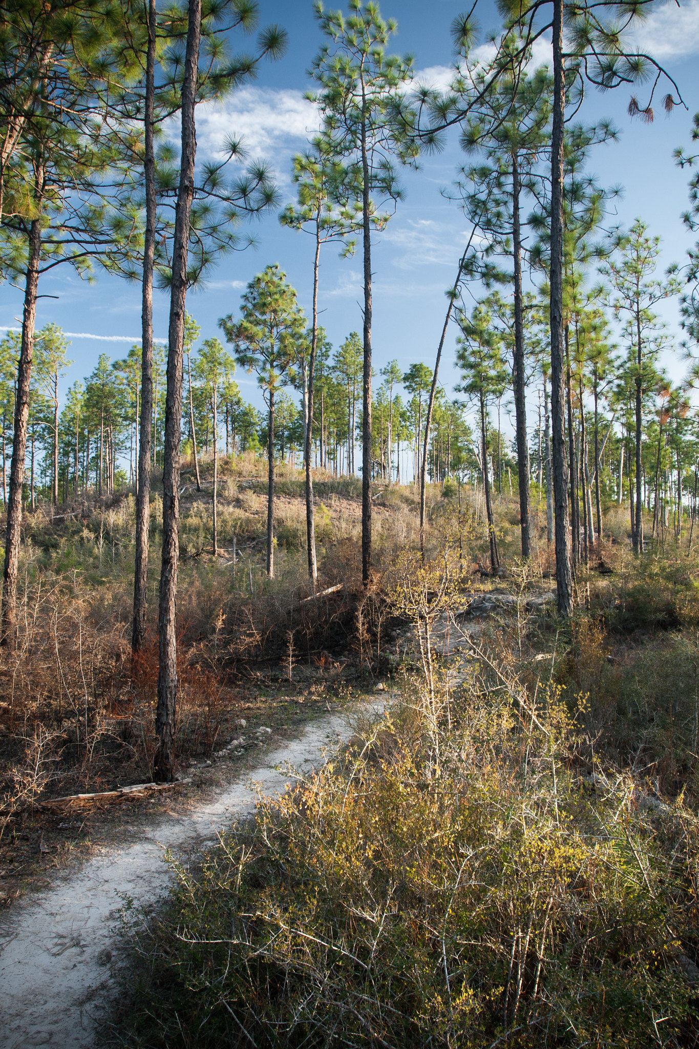 20 Epic U.S. Hiking Trails That Take You Way Off the Beaten Path 8 13170893073 4b77037ebf k