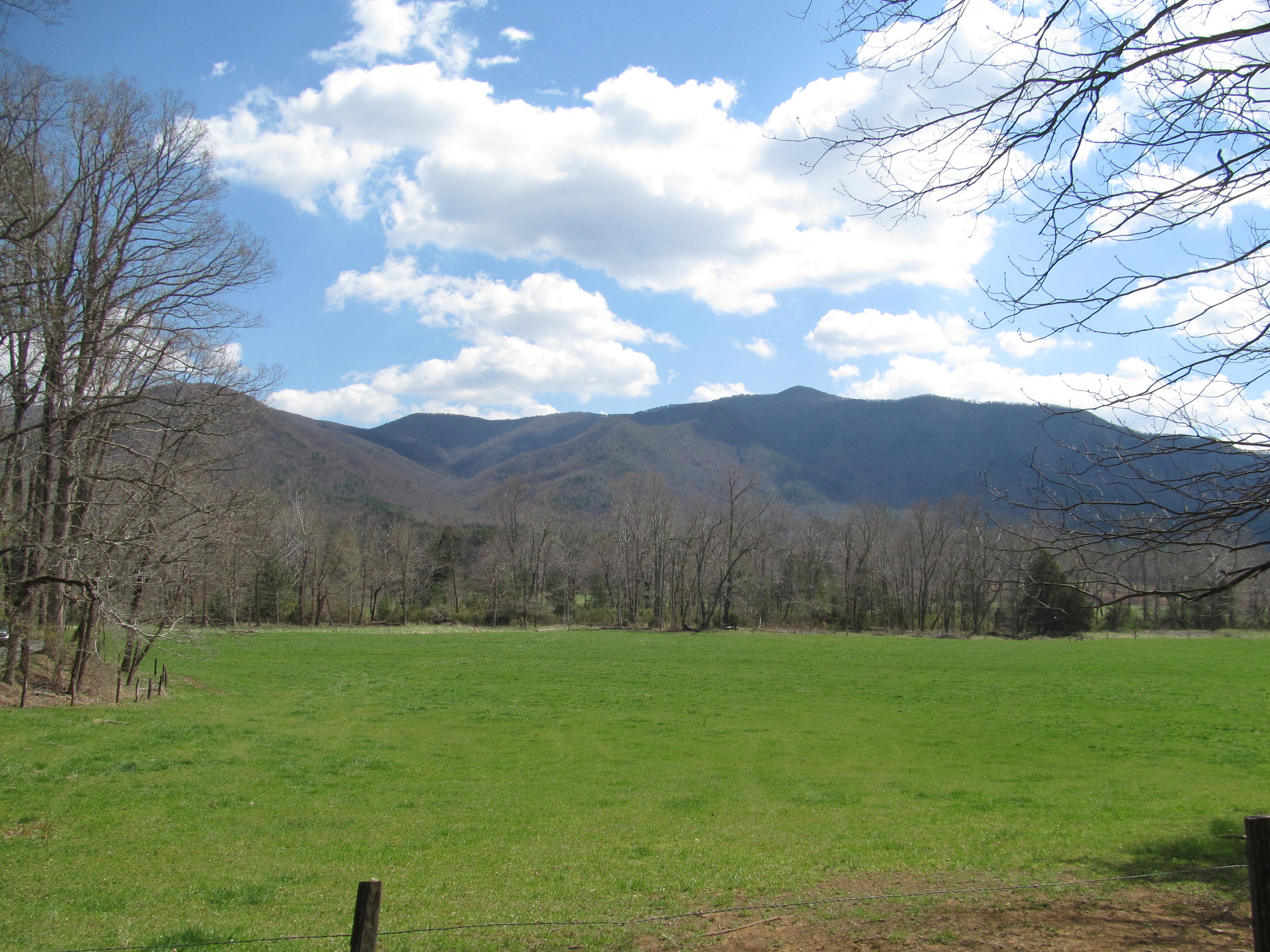 Top 18 Breathtaking Parks on the East Coast for Every Nature Lover 2 14486888288 119f54c9ad k