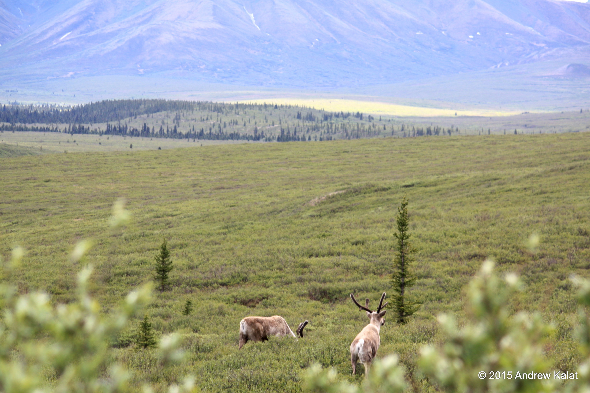 Love Nature But Hate Hiking? Visit These 14 National Parks Instead 11 19257083148 913dbdb1fe k