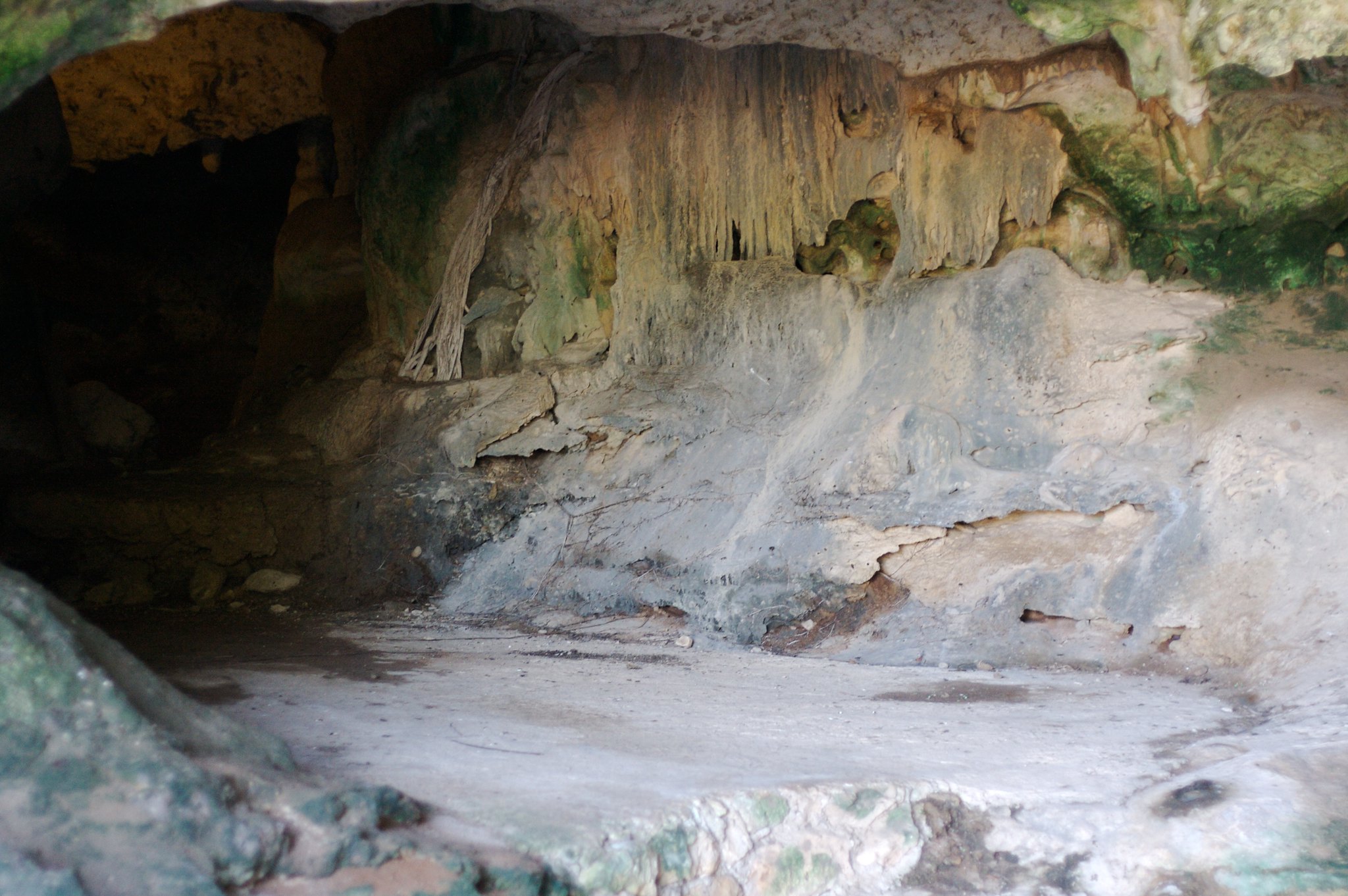 2139114900 031d21421c k