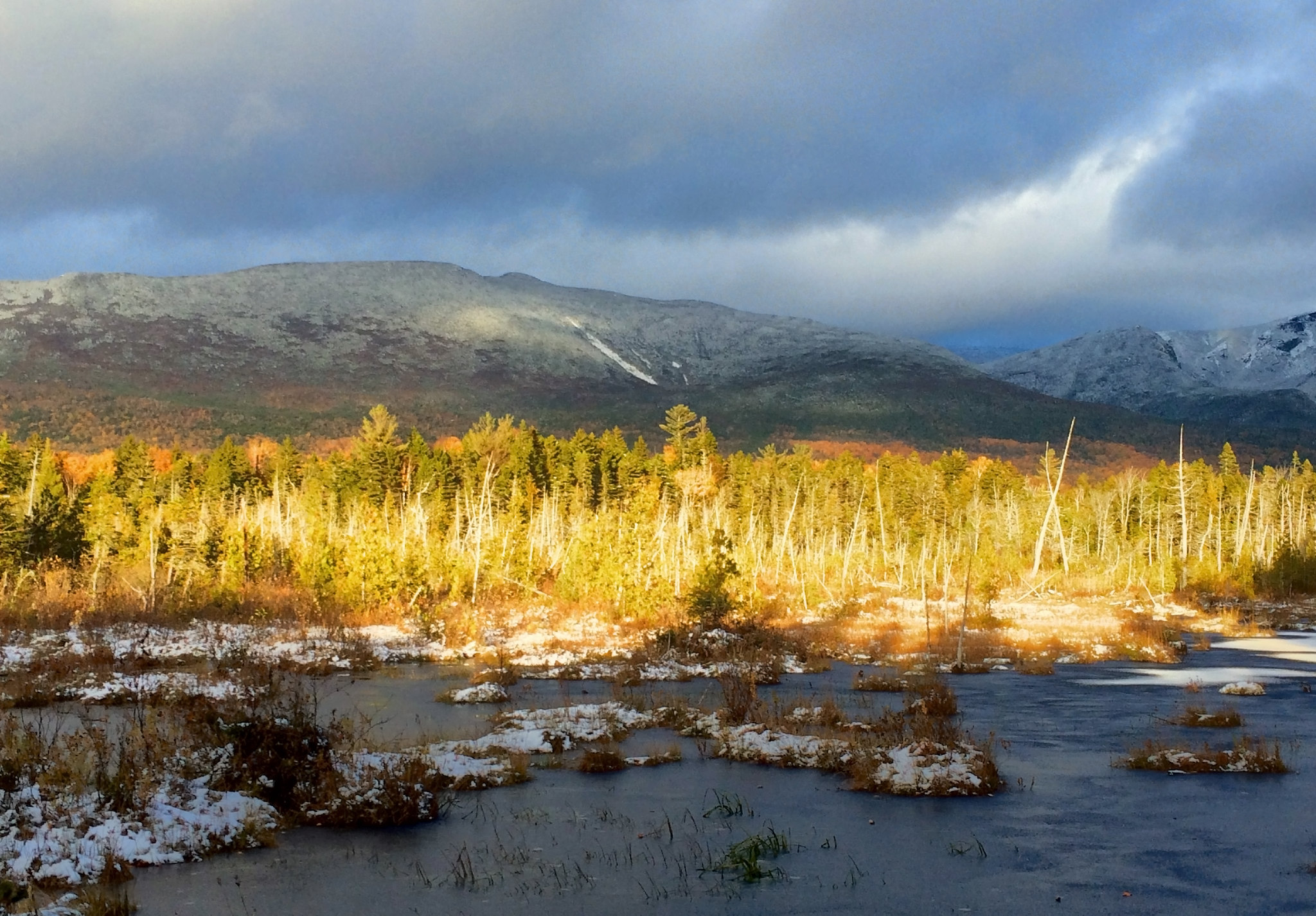 Top 18 Breathtaking Parks on the East Coast for Every Nature Lover 15 21952230894 26558e52f2 k