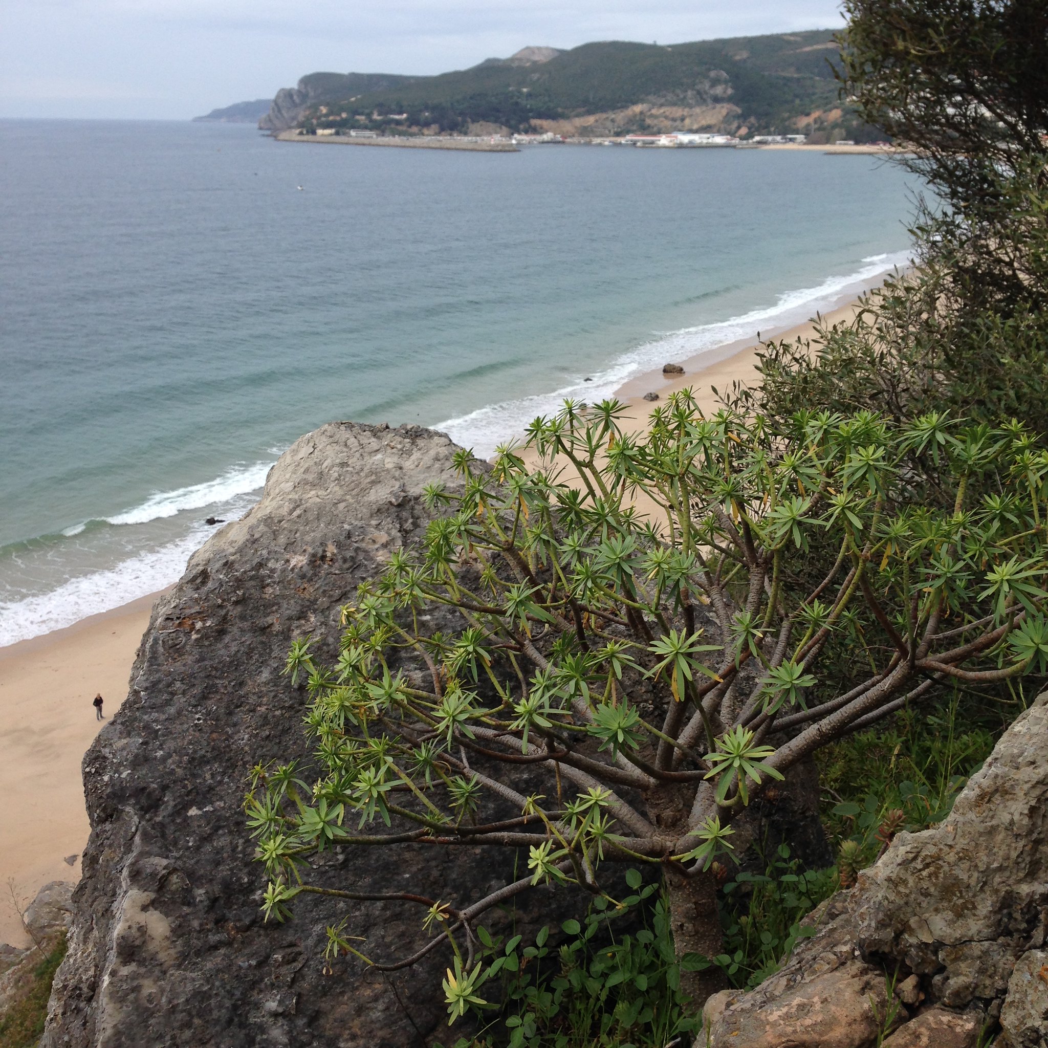 26618265205 7a67044e05 k