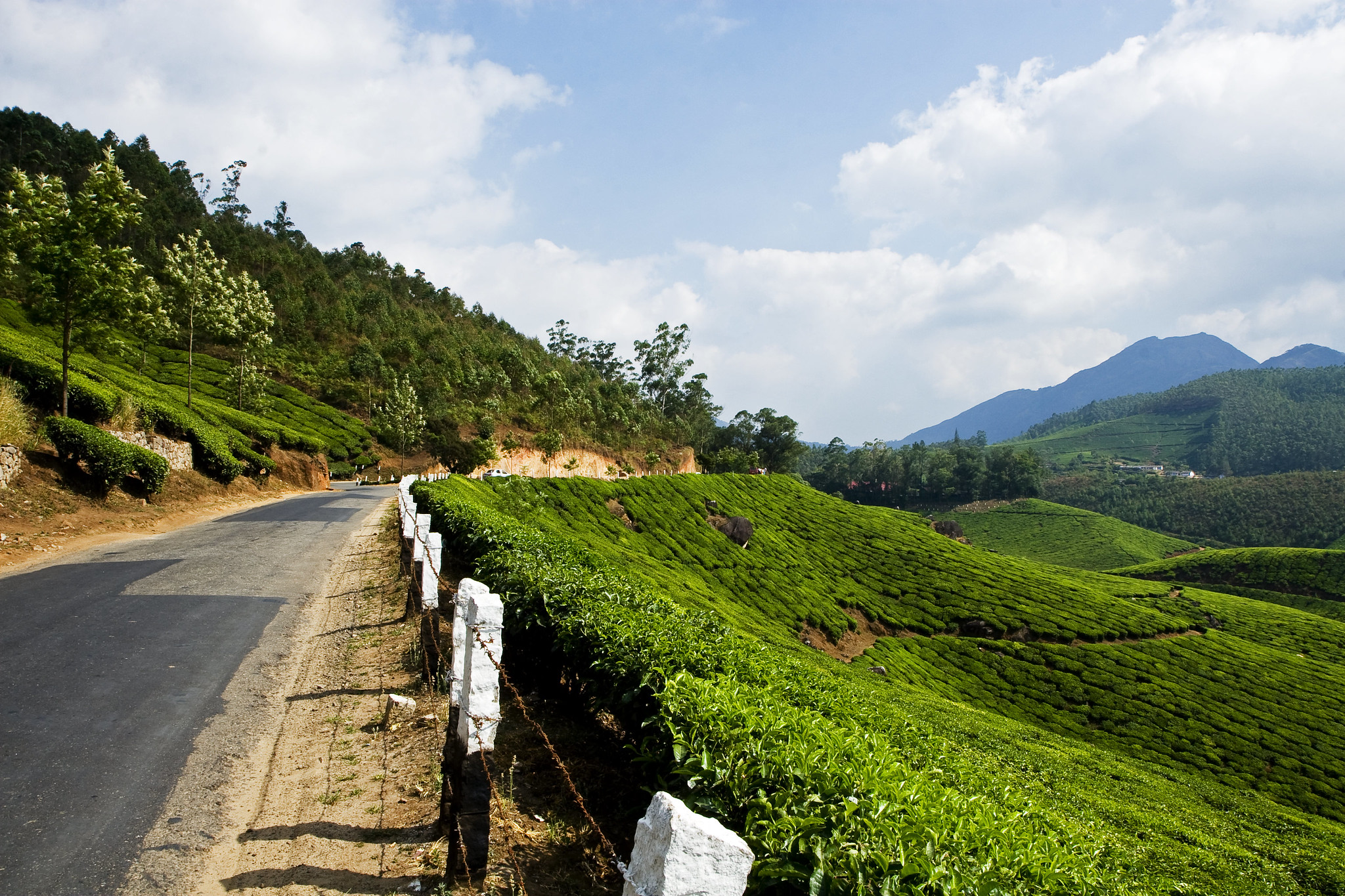 2808984359 9cd148c674 k