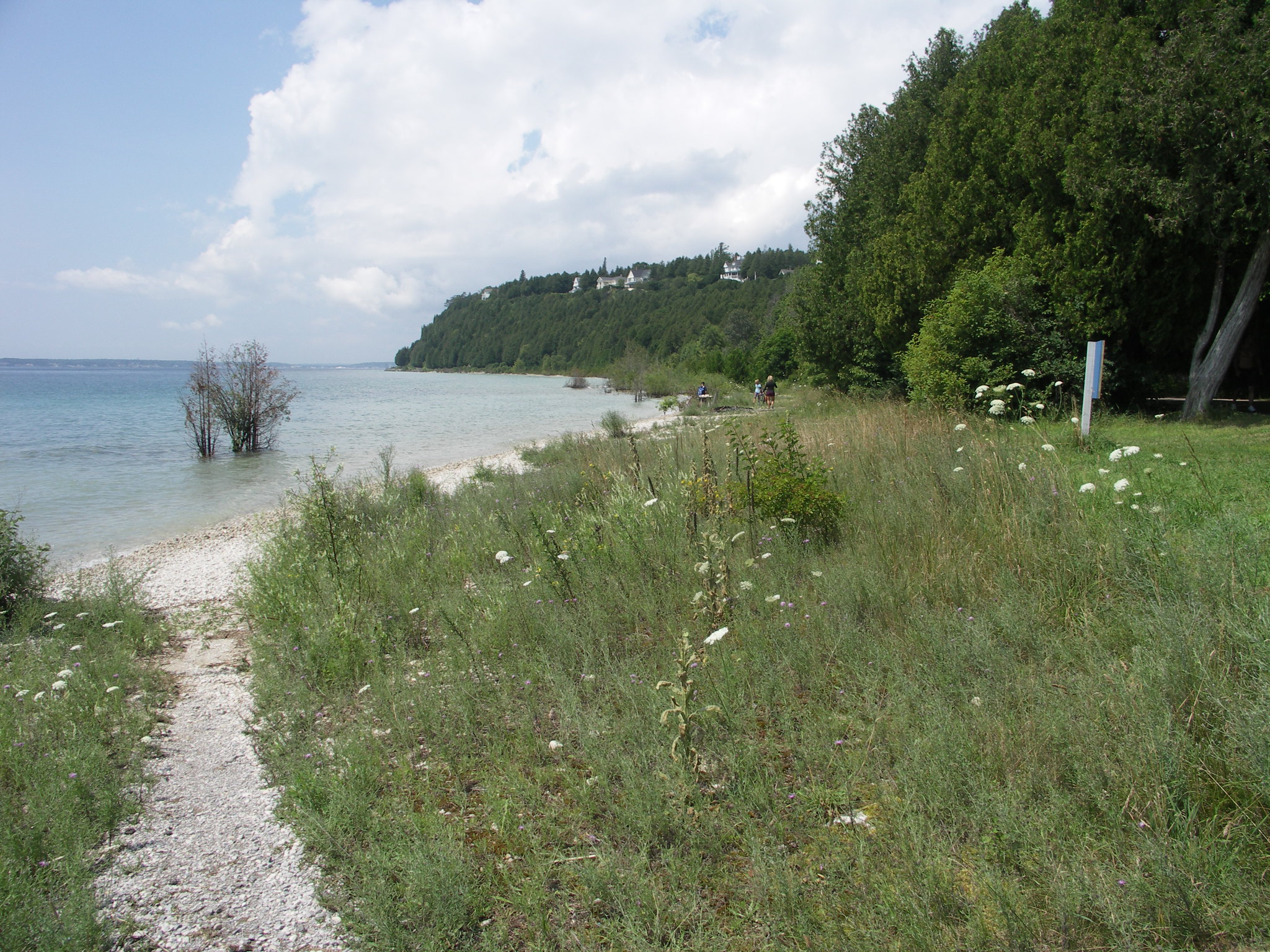 28563184017 185d2d7564 k