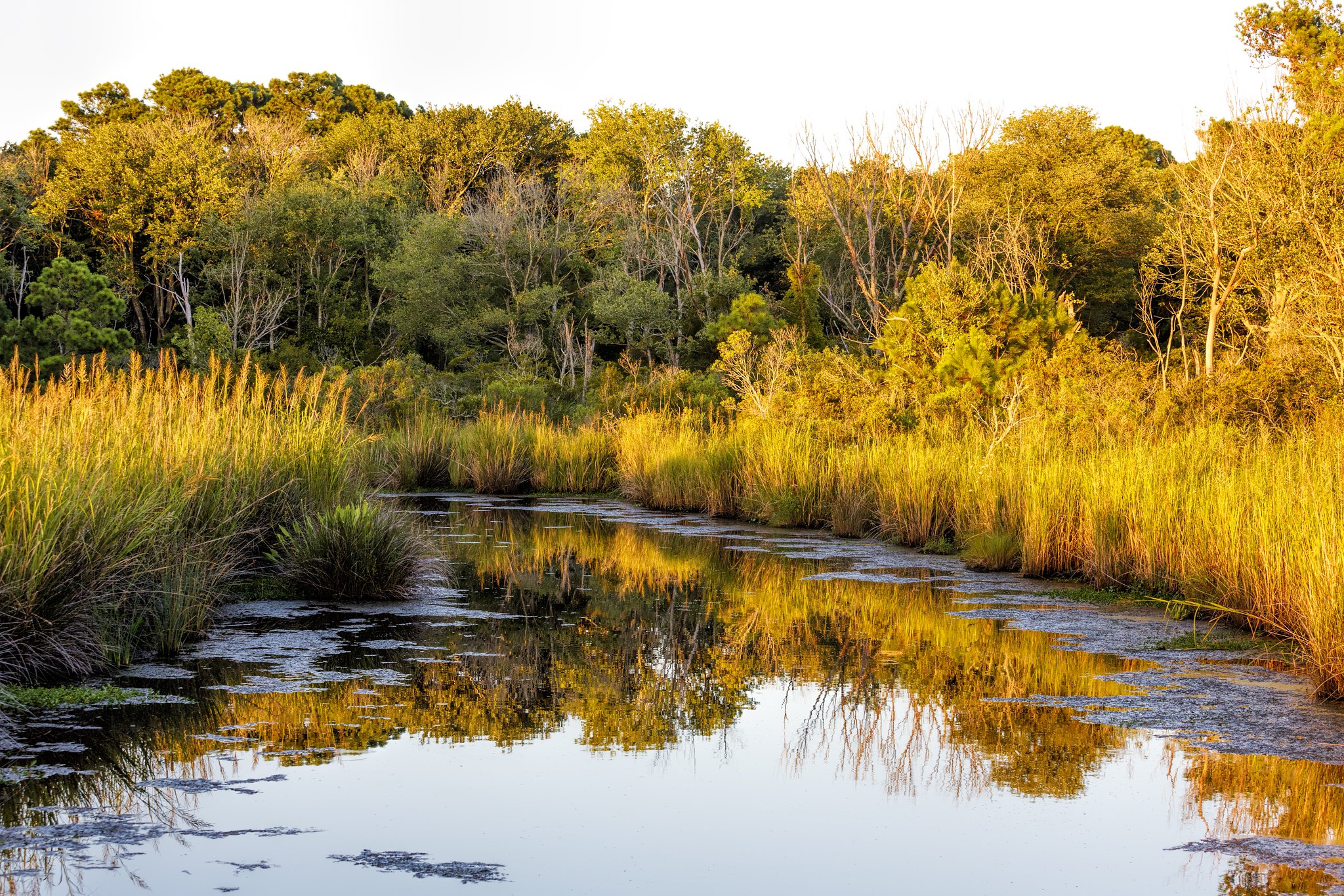 28921408321 e64a78da27 k