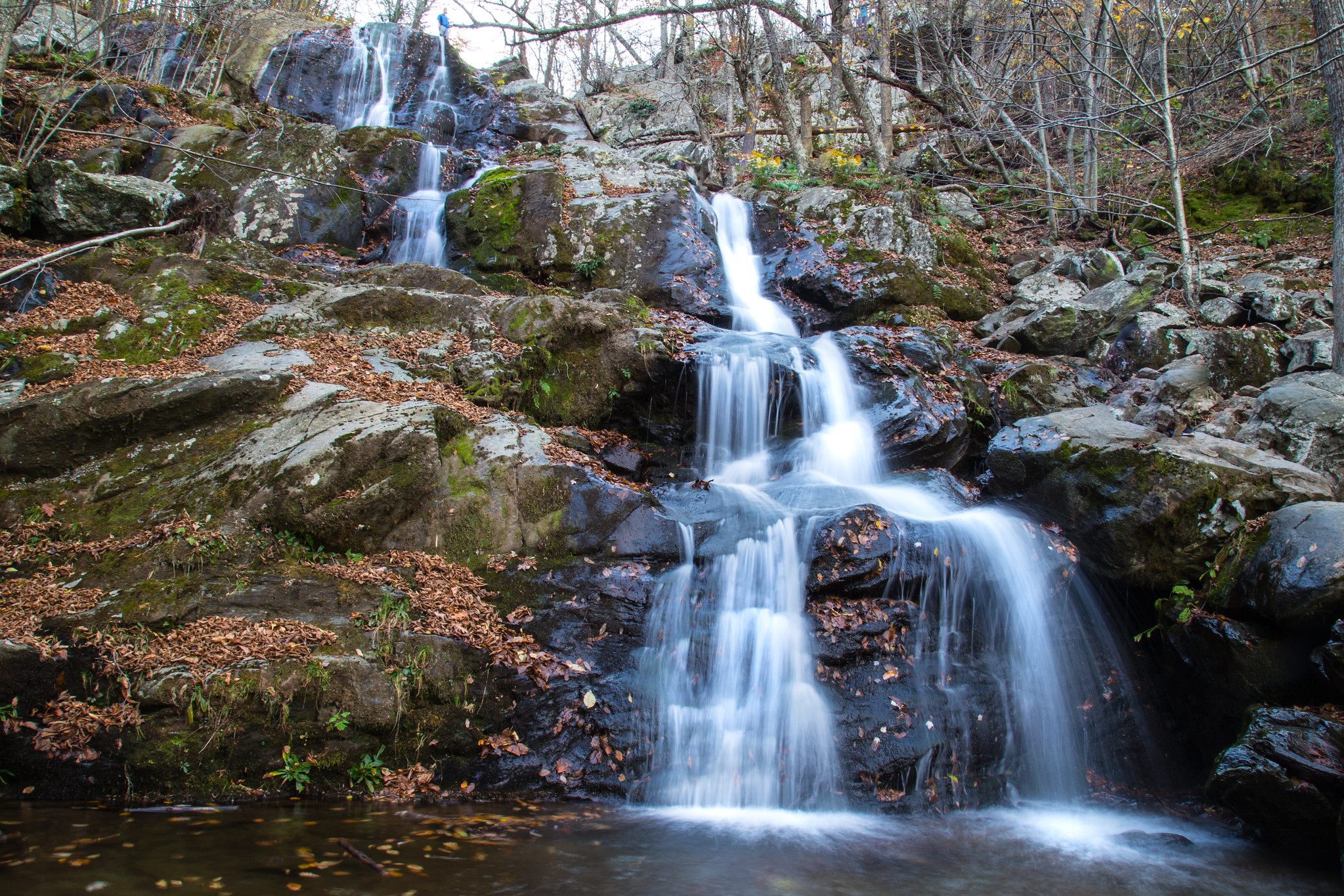 Top 18 Breathtaking Parks on the East Coast for Every Nature Lover 3 30100548223 5d3550bca6 k 1
