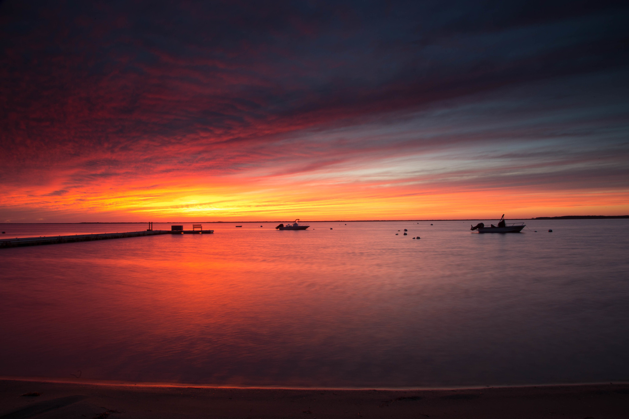 30954160562 bb5662e736 k