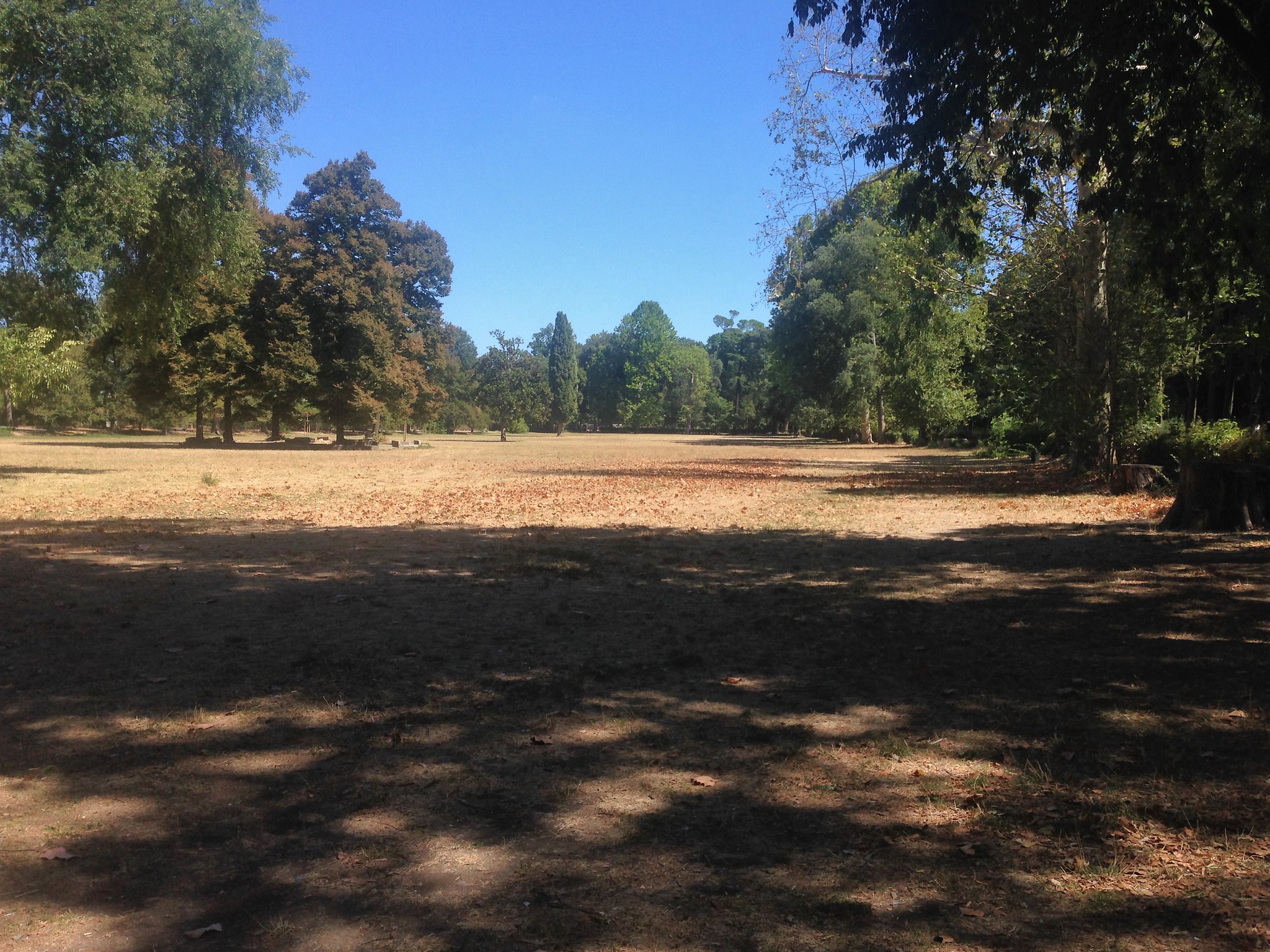 20 Iconic Experiences in Florence That Go Beyond Art Galleries 6 36082411843 66eec7cf3a k