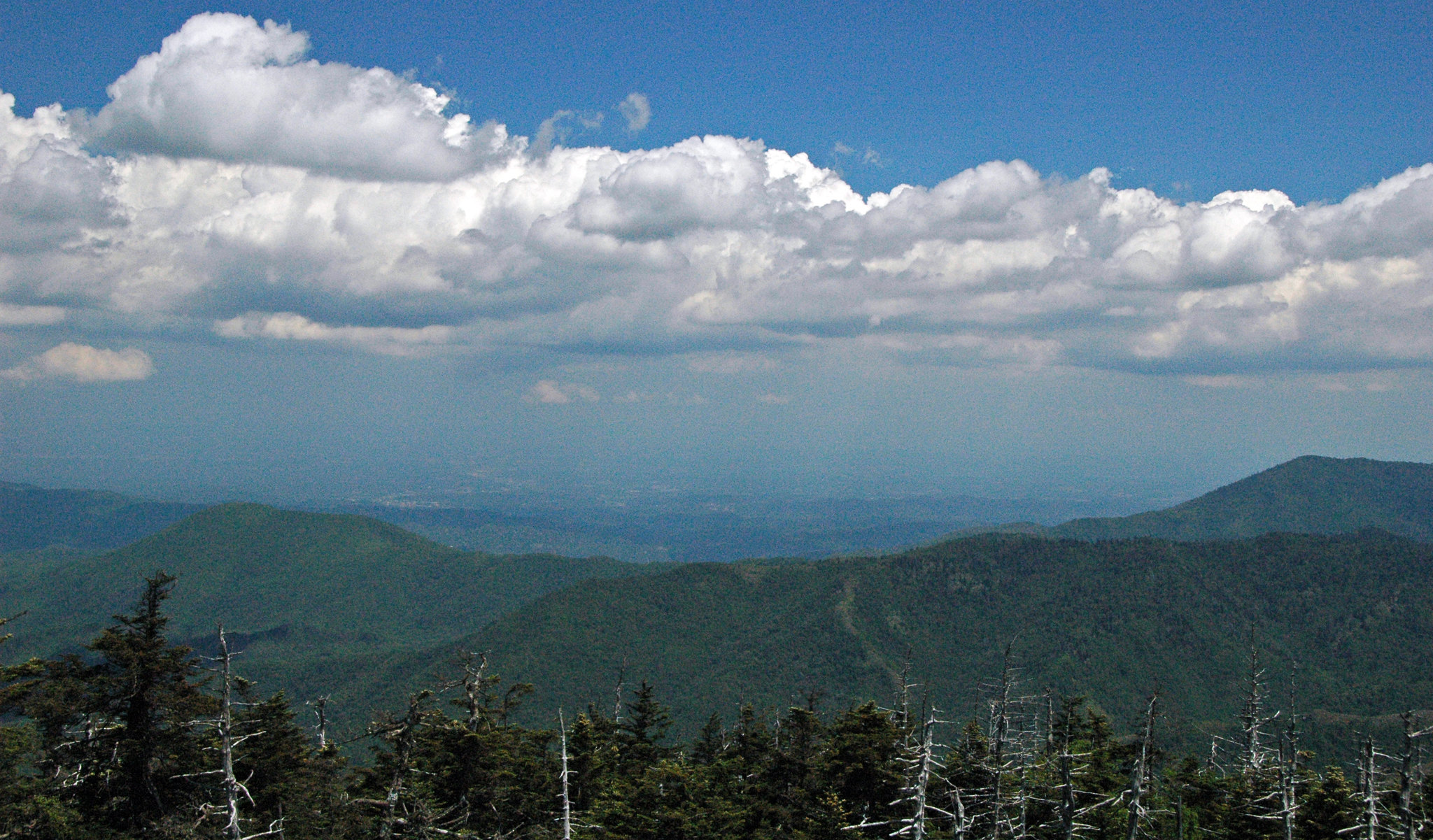 36819657860 58e5f7a8e7 k