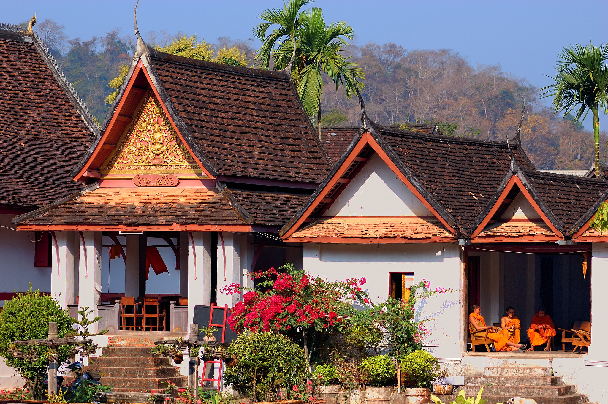 4333834259 4082dfde3f k